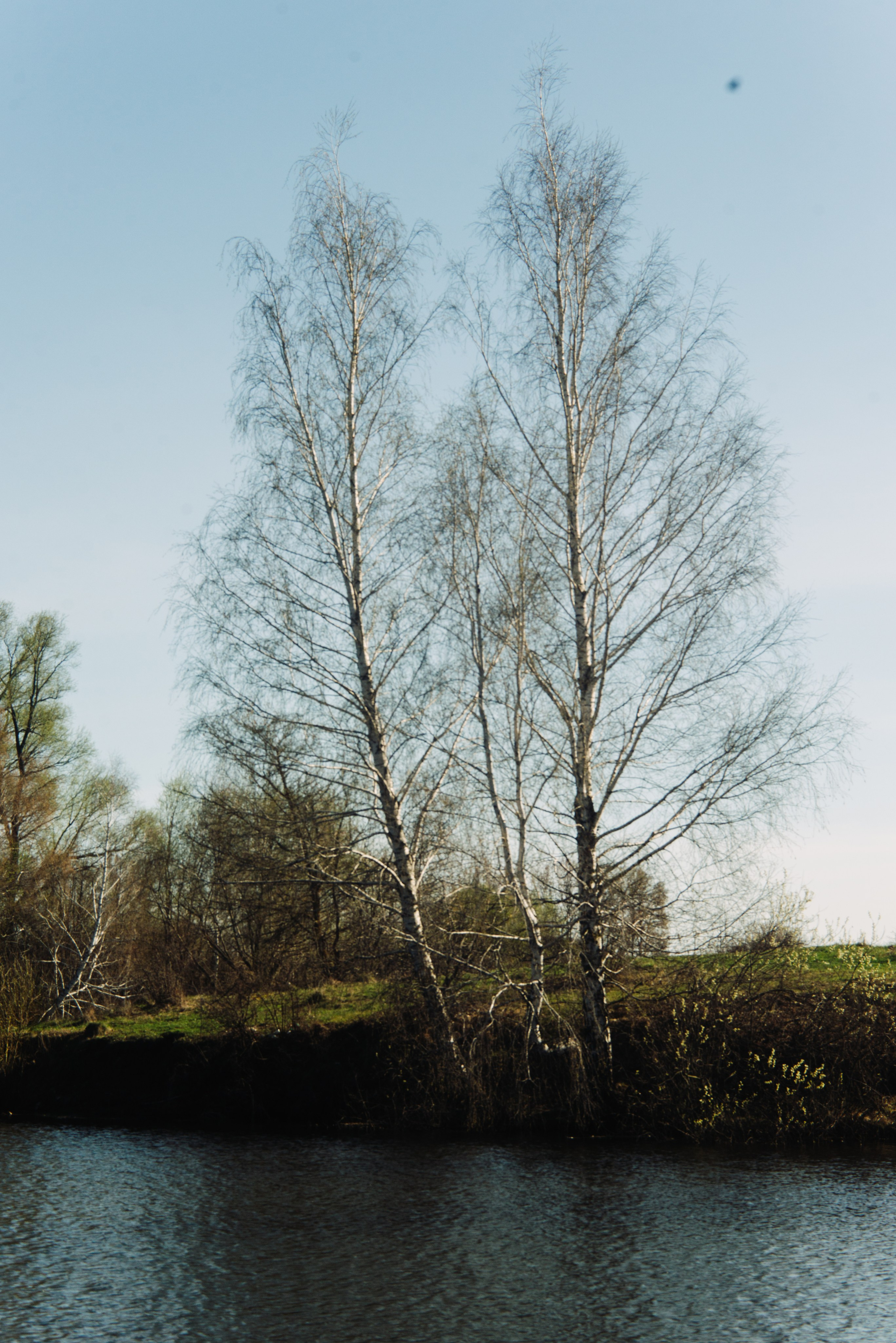 Орановка. Репортажный и портретный фотограф в Липецкой, Воронежской, Московской области Тёма Белоусов