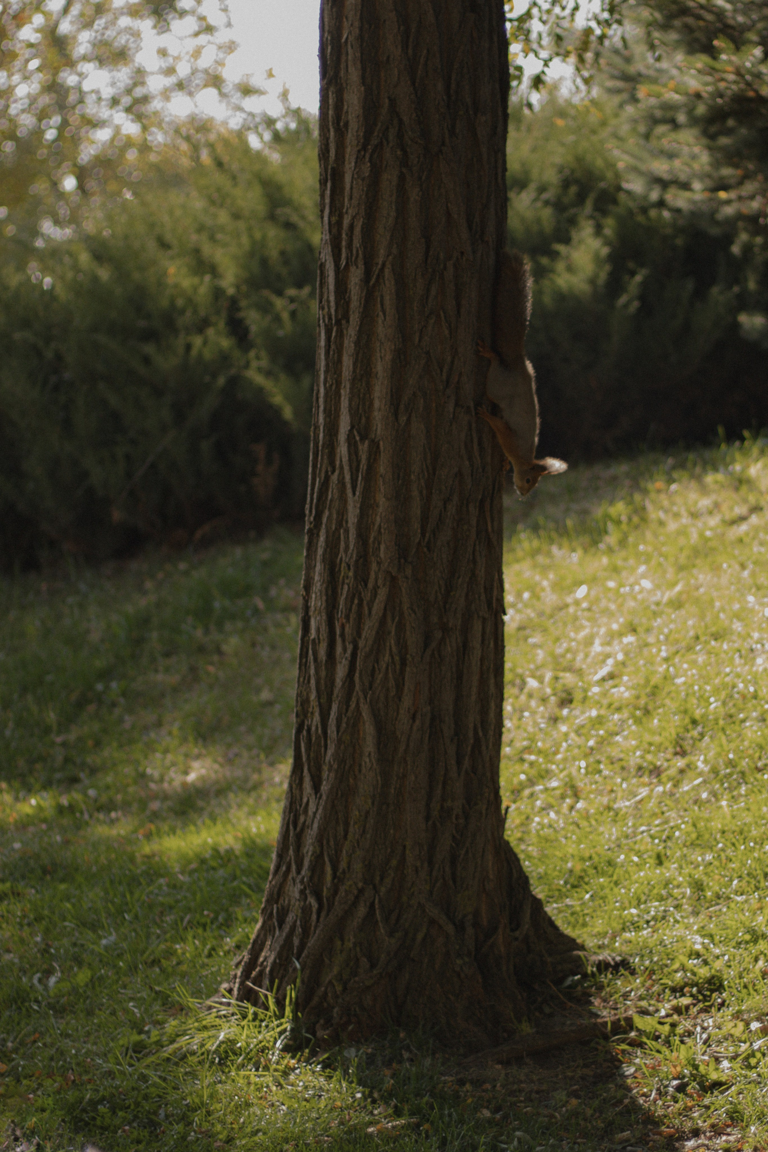 Margarita+Diana+Rita. Lusy Redina | Семейный Фотограф | Волгоград