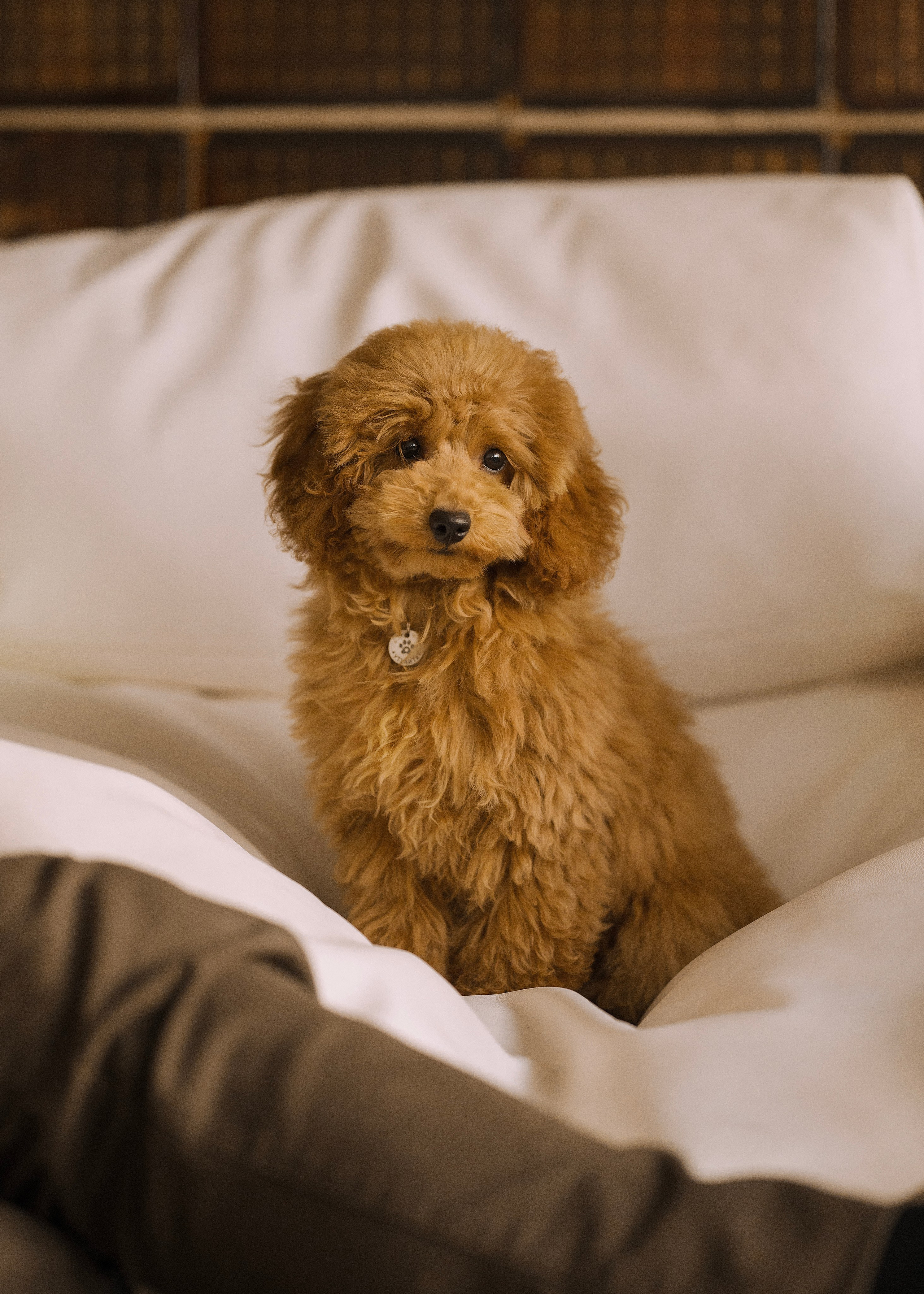 Утилита. Фотограф- анималист Александра Матвеева