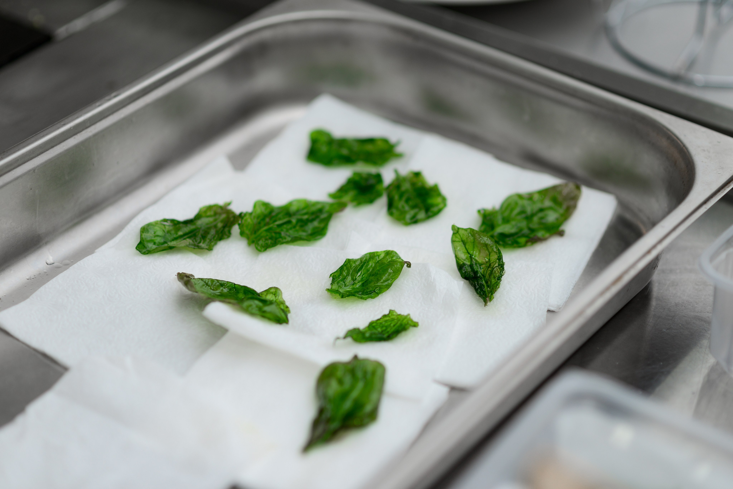 Lactalis 2019. Фотограф Астана, Алматы