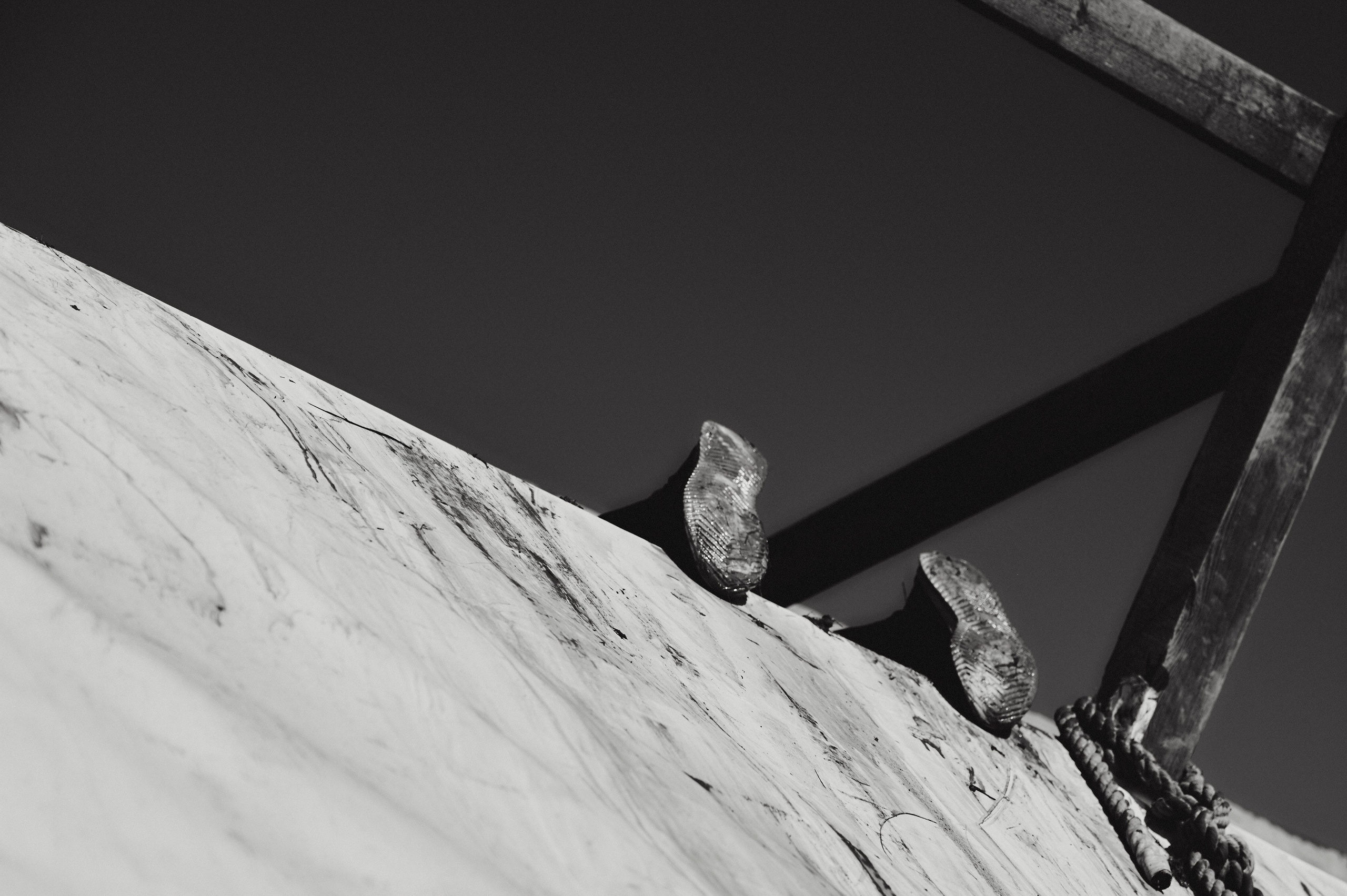 Горячие головы 2025. Ваш мультижанровый фотограф Александр Белов