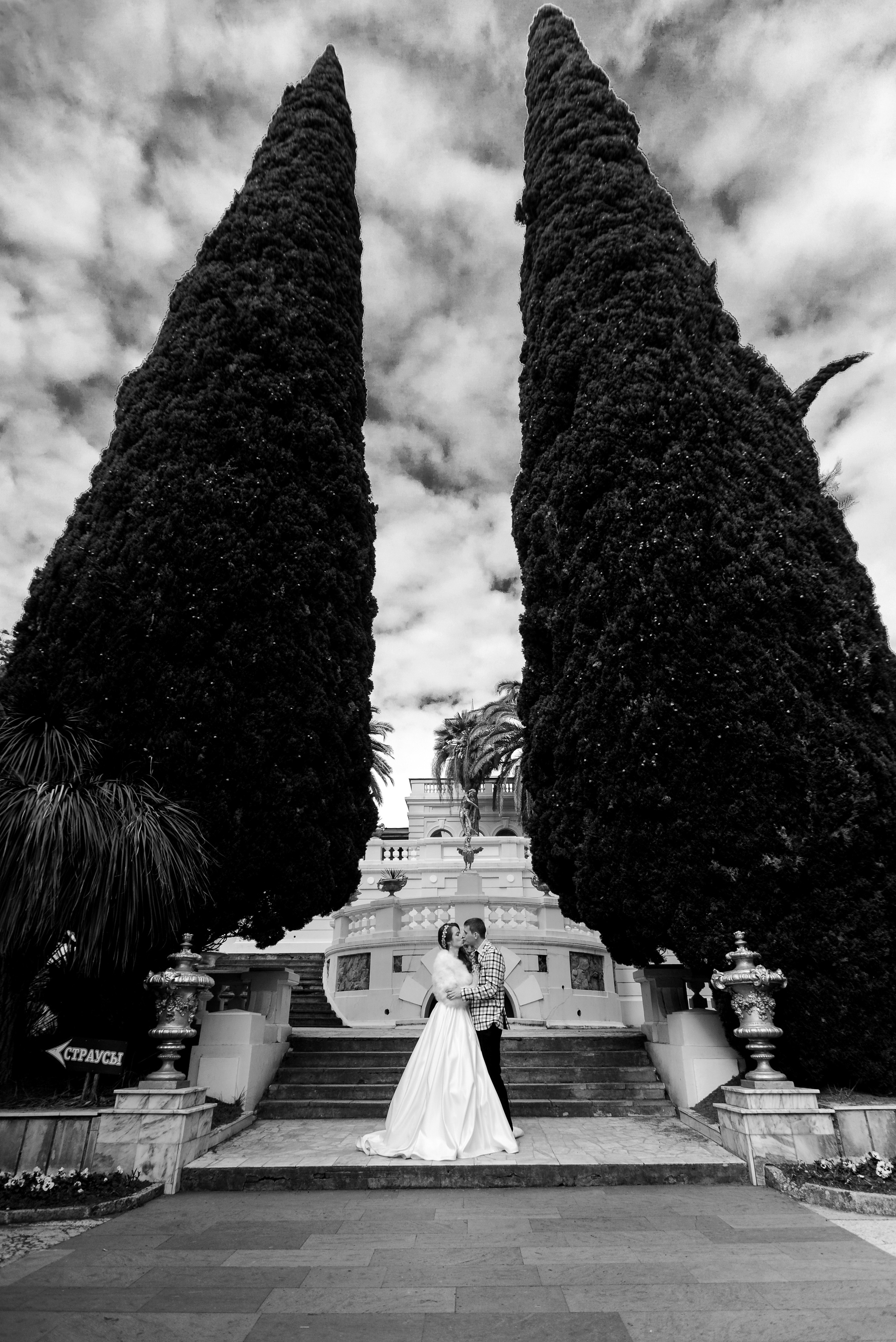 Виолетта & Владислав. Свадебный фотограф Вадим Сучков