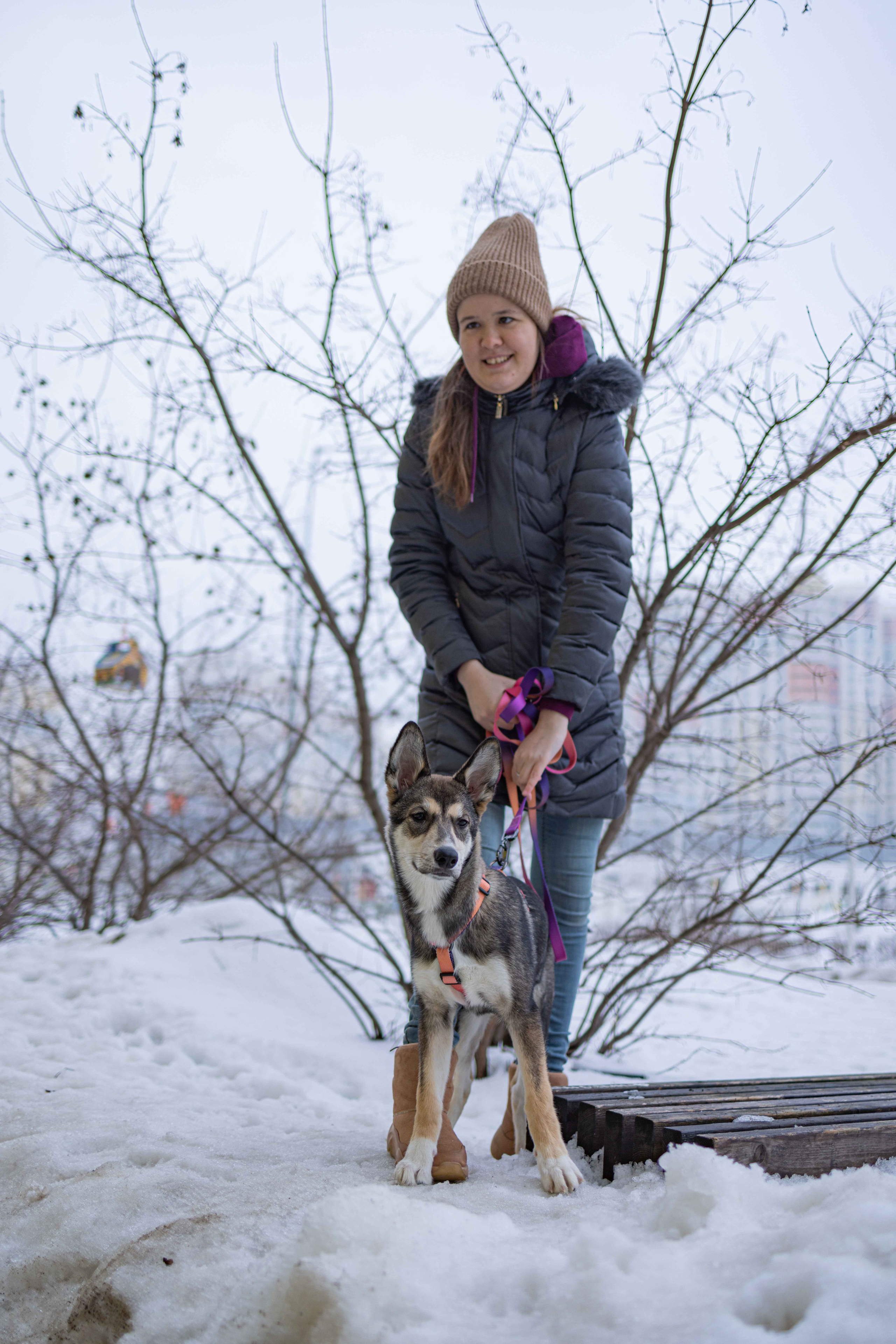 Шами. Фотограф-анималист в Москве Лера Черноног