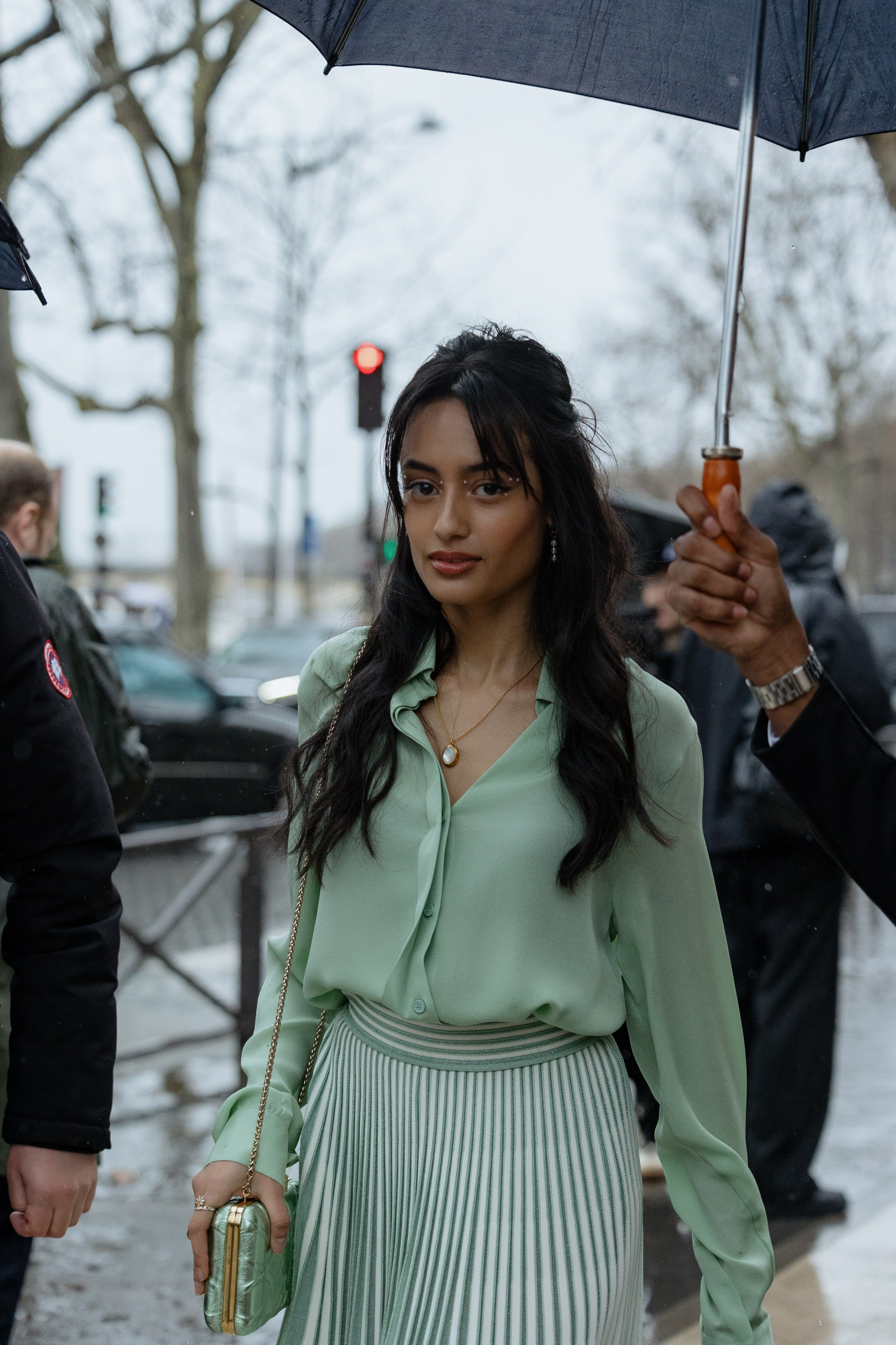 ELIE SAAB PFW WOMENSWEAR FALL-WINTER 24/25. Photographer in Milan Ivan Goncharov