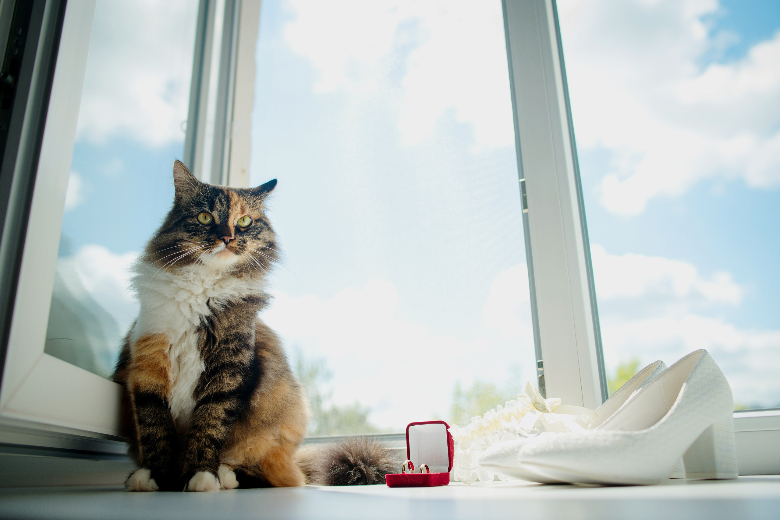 Королева Елена Свадебный и семейный фотограф в Туле