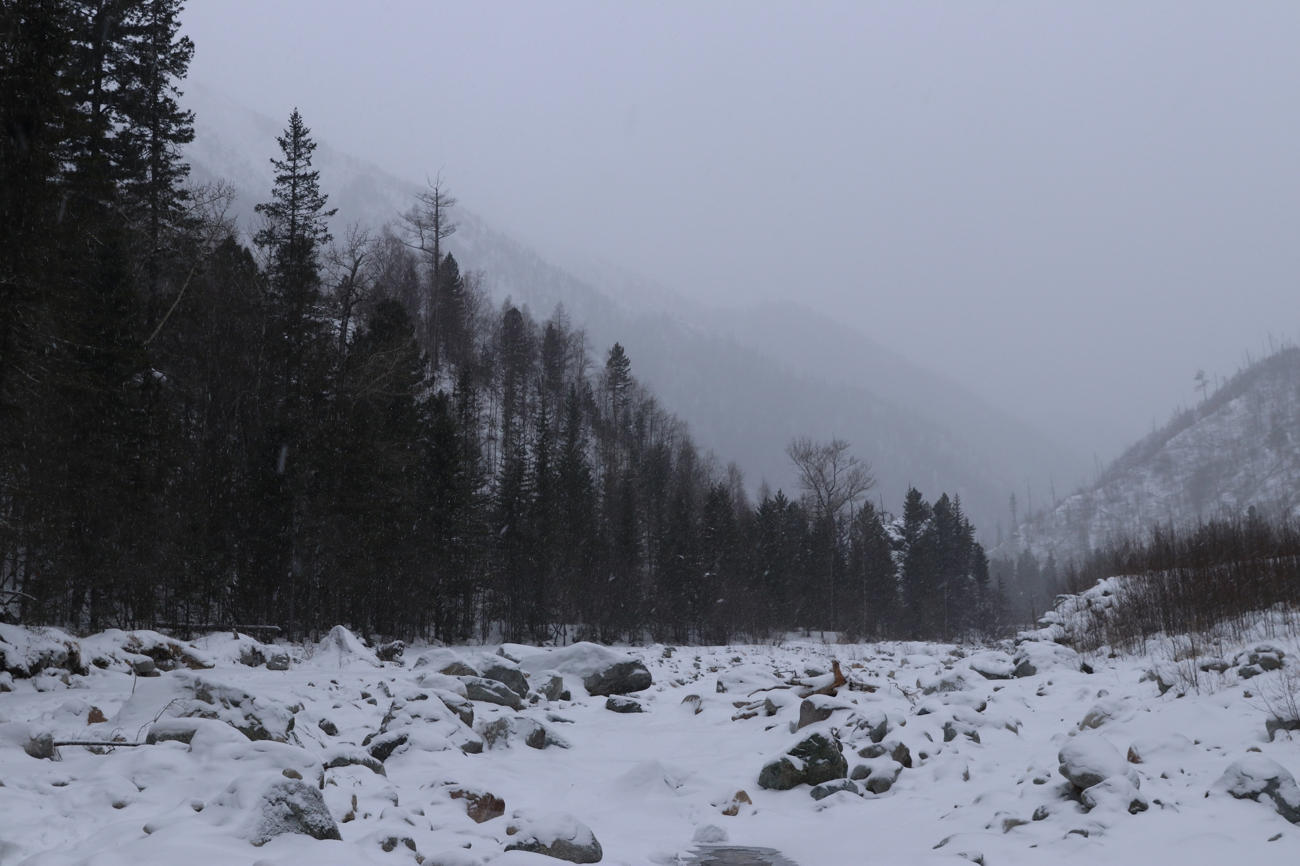 Аршан. Январь 2024. Путешественник-фотограф из Санкт-Петербурга Татьяна Свистулина