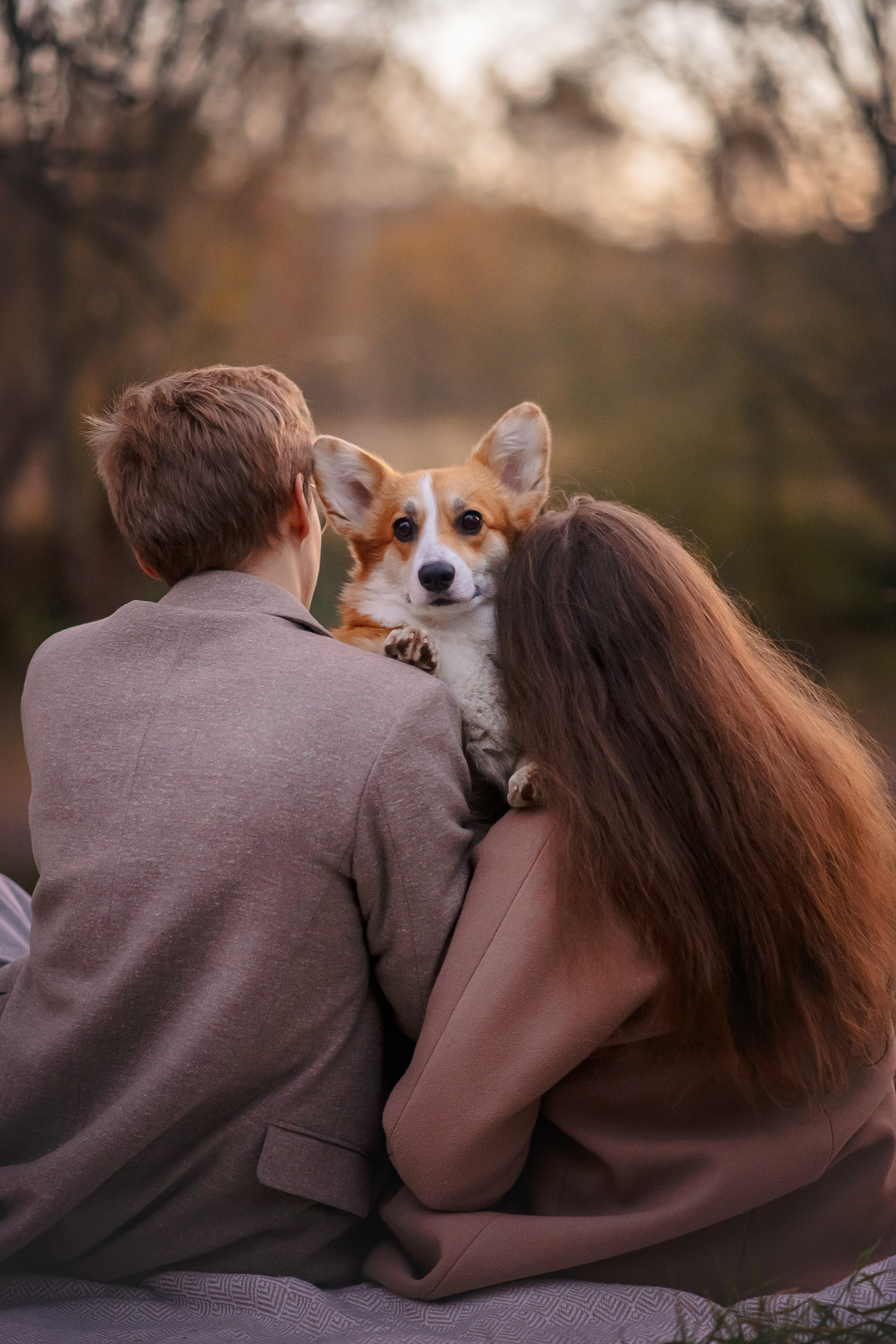 Максим, Аня и Челси — 19.10.2024. Фотограф — Анималист | Анна Абрамова