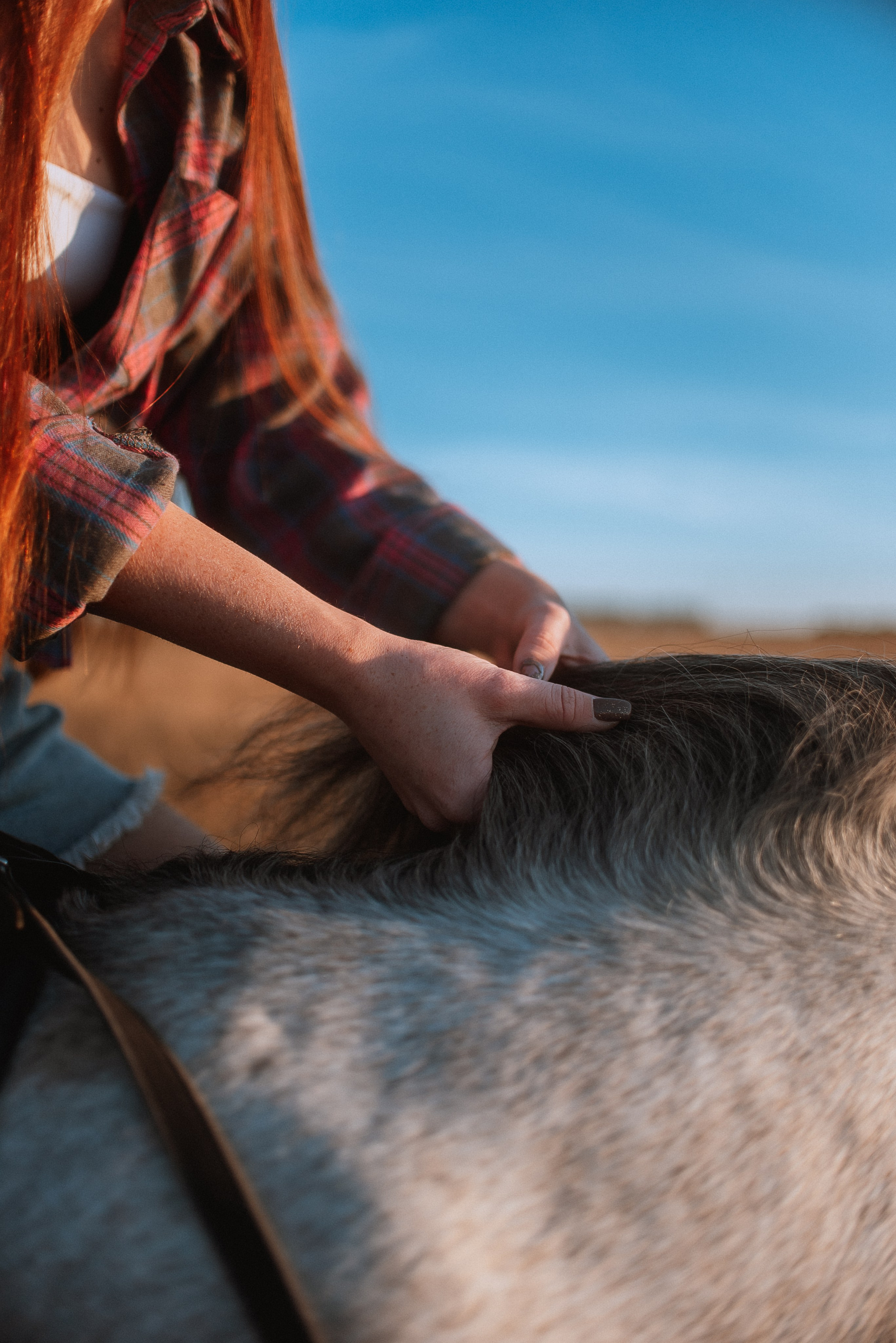 Вероника и Дакар — 23.09.2024. Фотограф — Анималист | Анна Абрамова