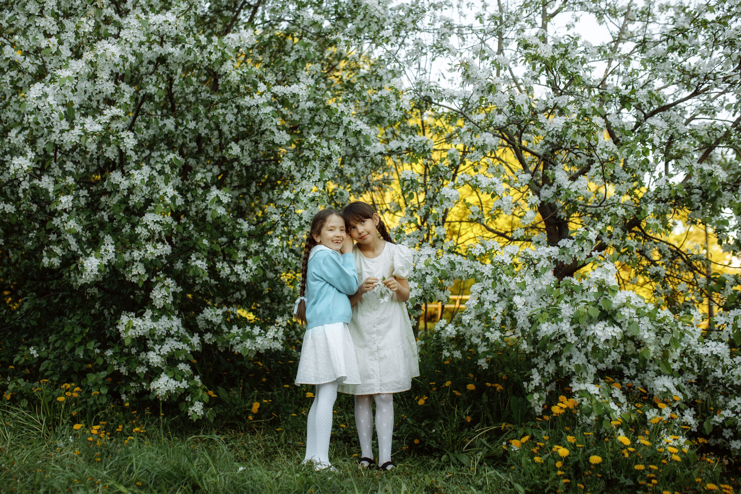 Цветение. Детский и семейный фотограф г. Чебоксары Оля Горбунова