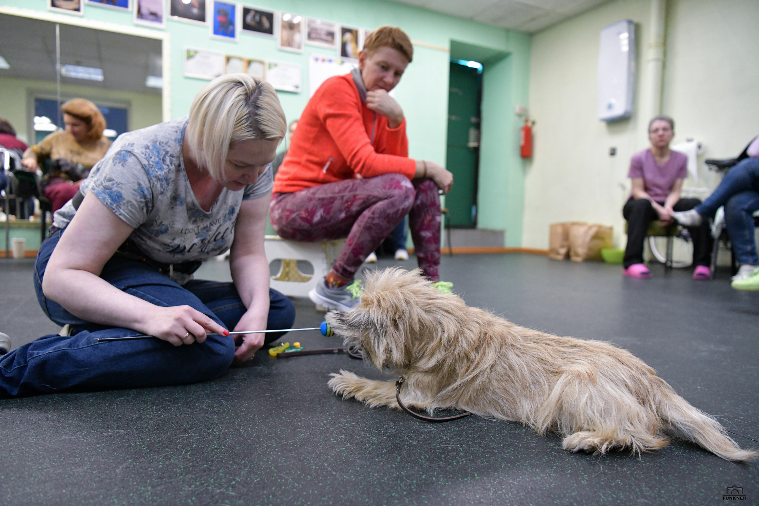 Кинологический клуб «Бодрый хвост». Свой взгляд через объектив