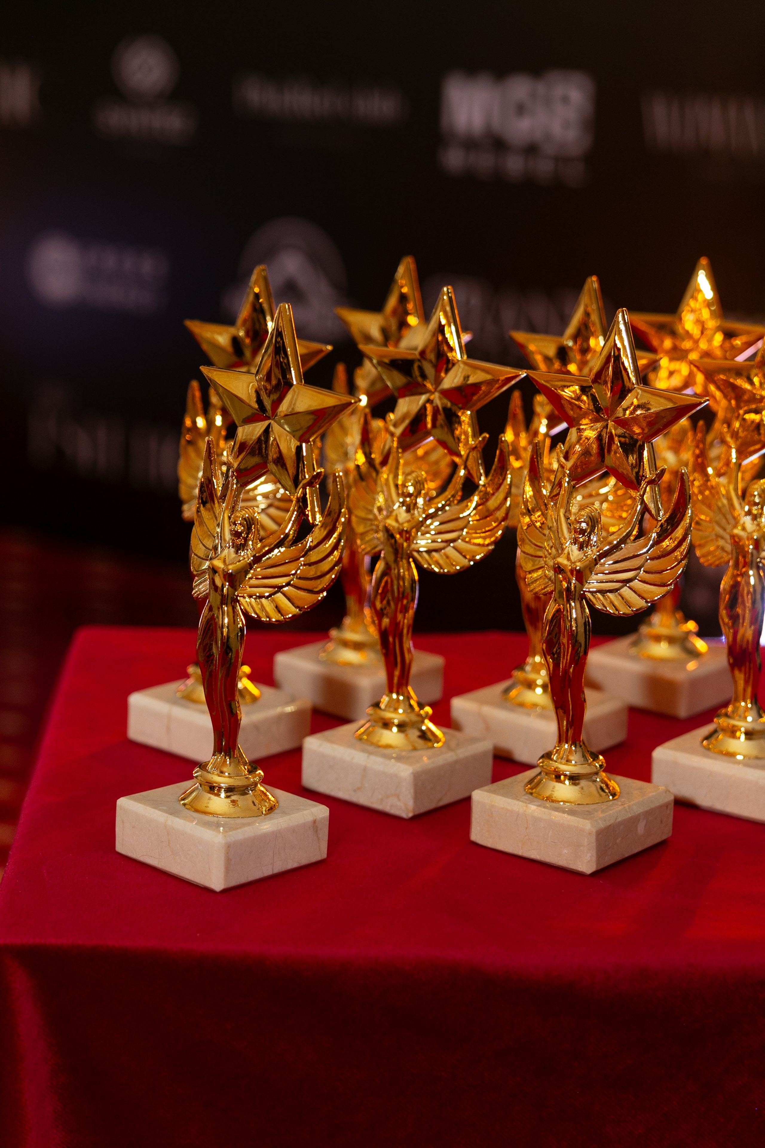 Премия PROBlog. Евгения Мартынова фотограф в Курске и Орле