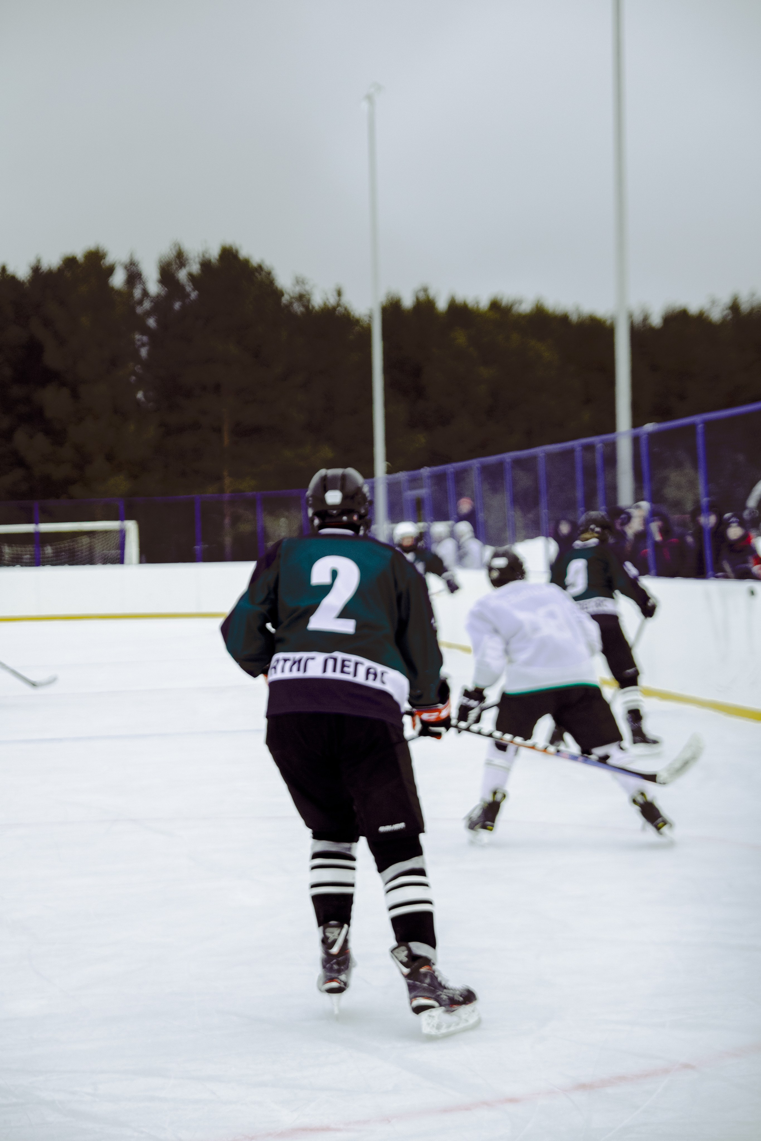 Хоккей 29.12.2024