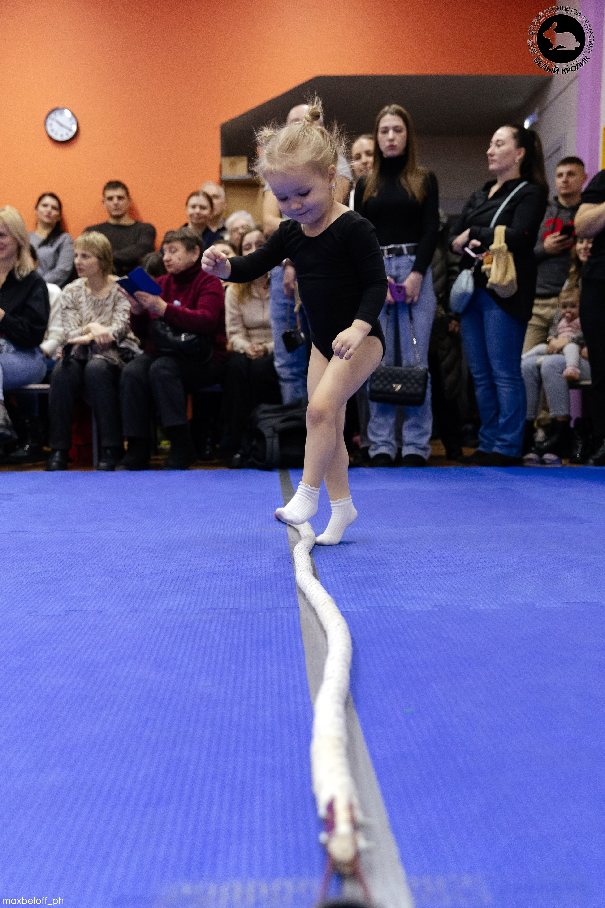 Белый кролик. Соревнования. Семейный фотограф — Макс Белогрудов