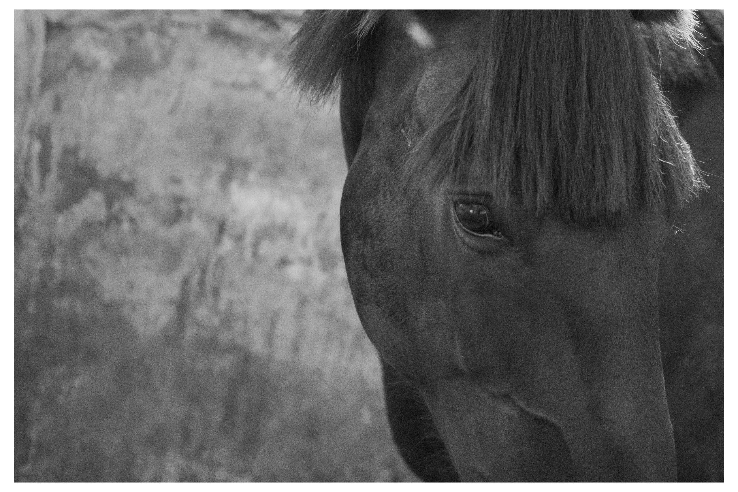 СТРАХ. Фотограф Манакова Ольга