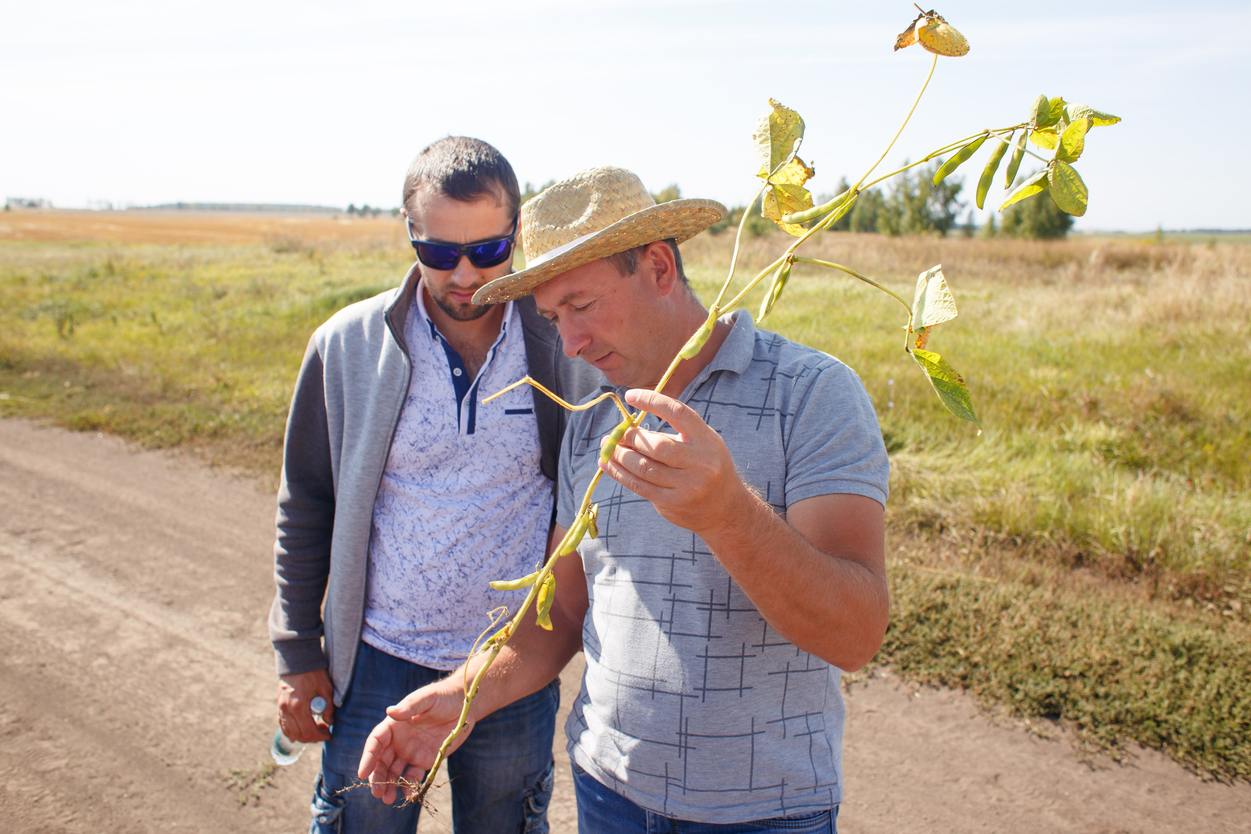 Агротерра. Фотограф Яков Поспехов