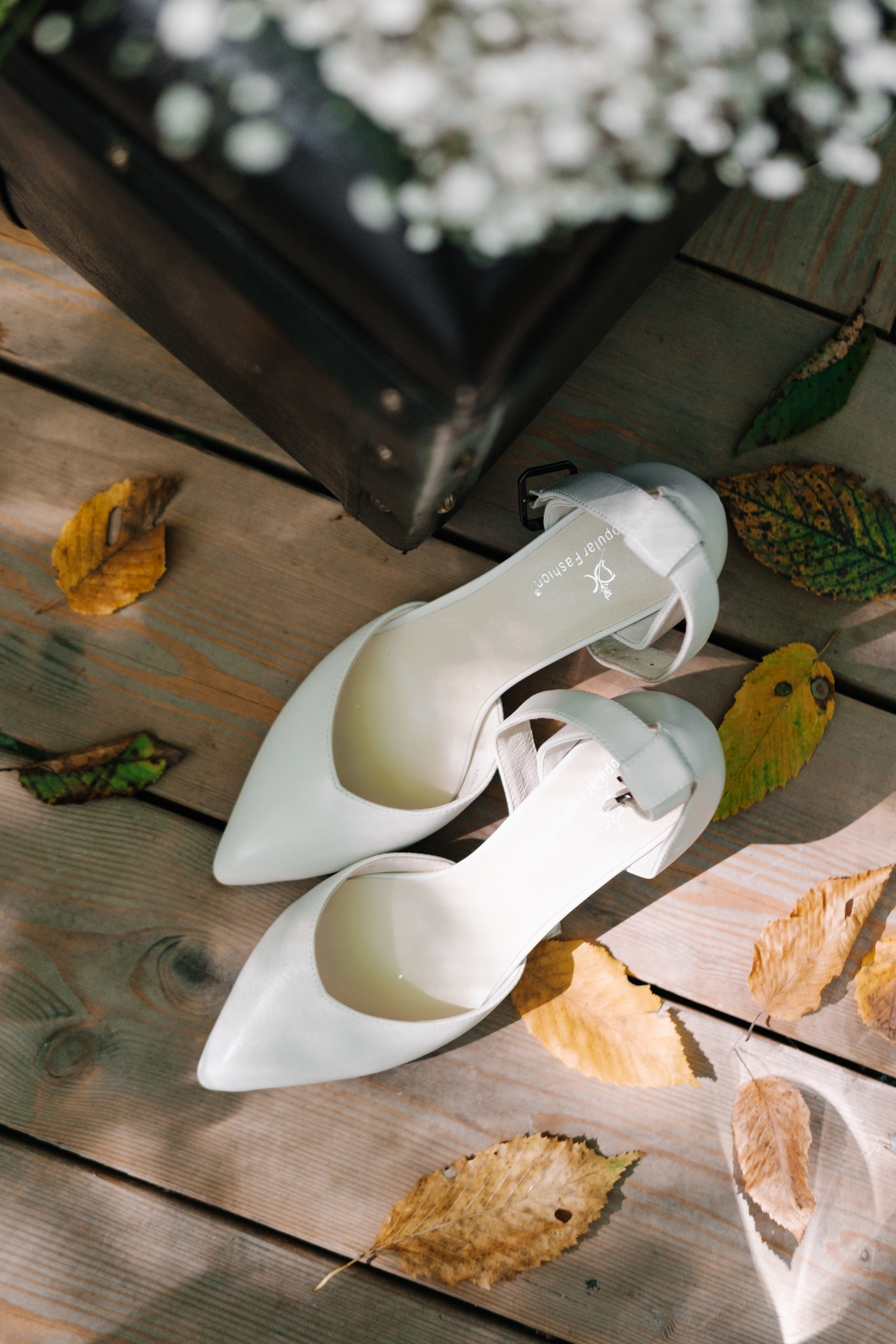 Кот и Дракон. Свадебный Видеограф Фотограф в Сочи