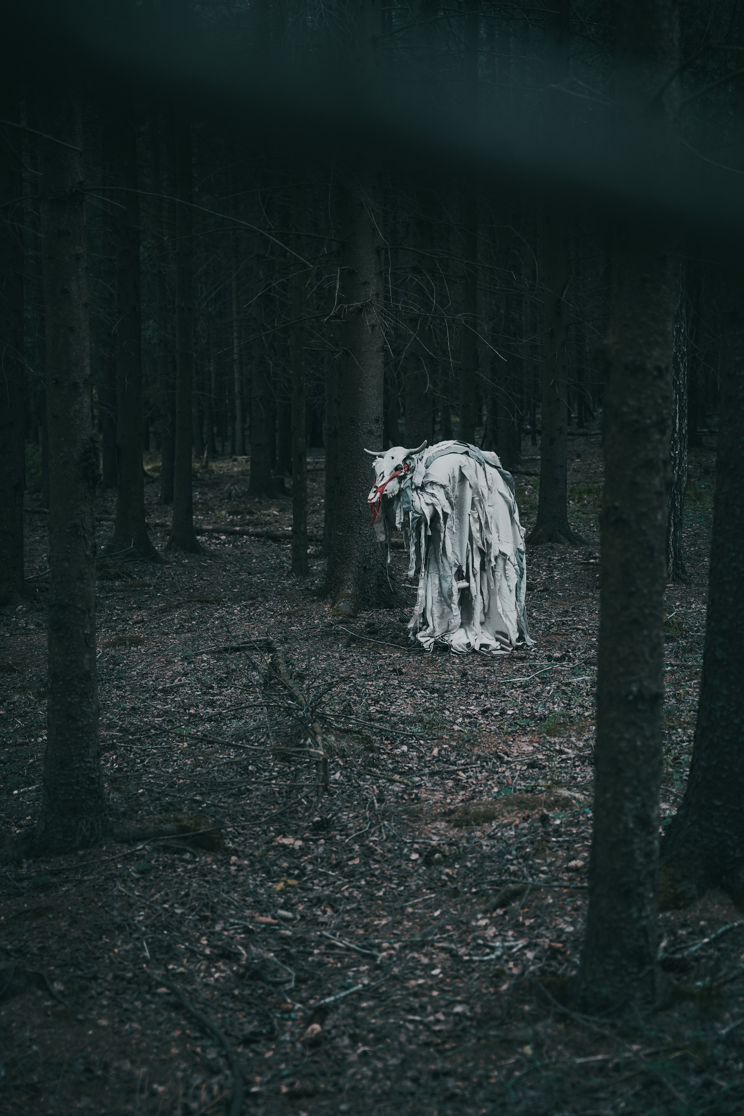 Театр SubRosa *персонажи. Портретный фотограф в Смоленске и Москве Мария Громова