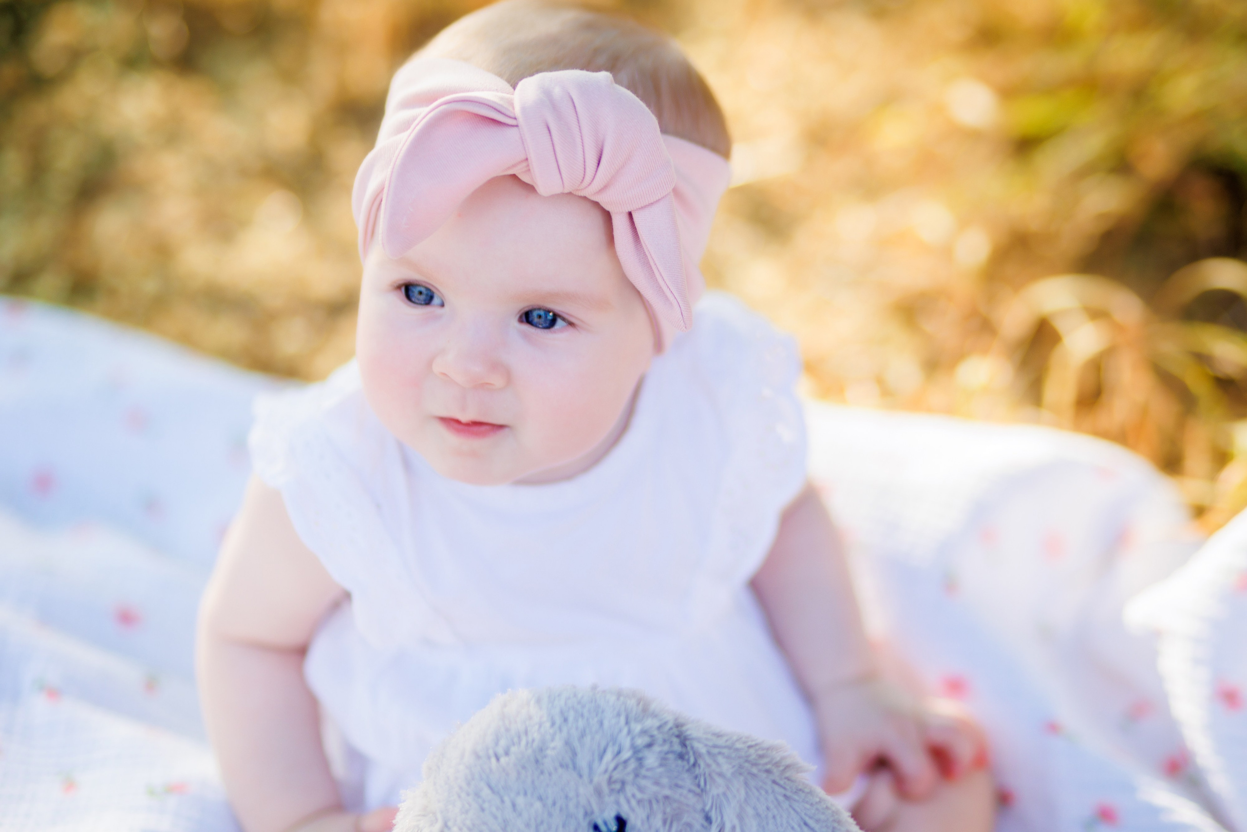 Прогулка на природе. Свадебный и семейный фотограф в Армавире