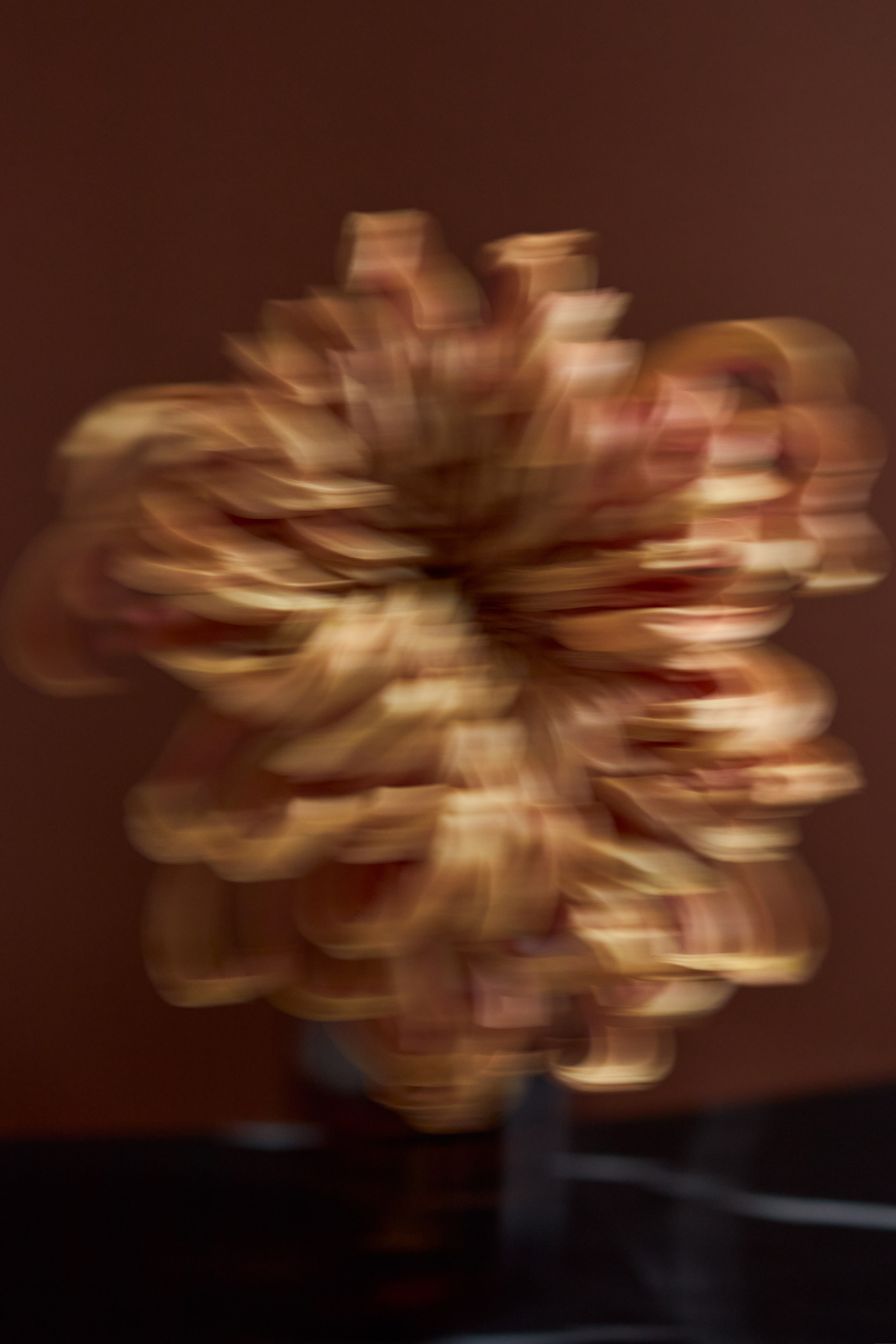 Esthetic. Фотограф Москва / TASIA_ZHUKOVA Photographer Moscow