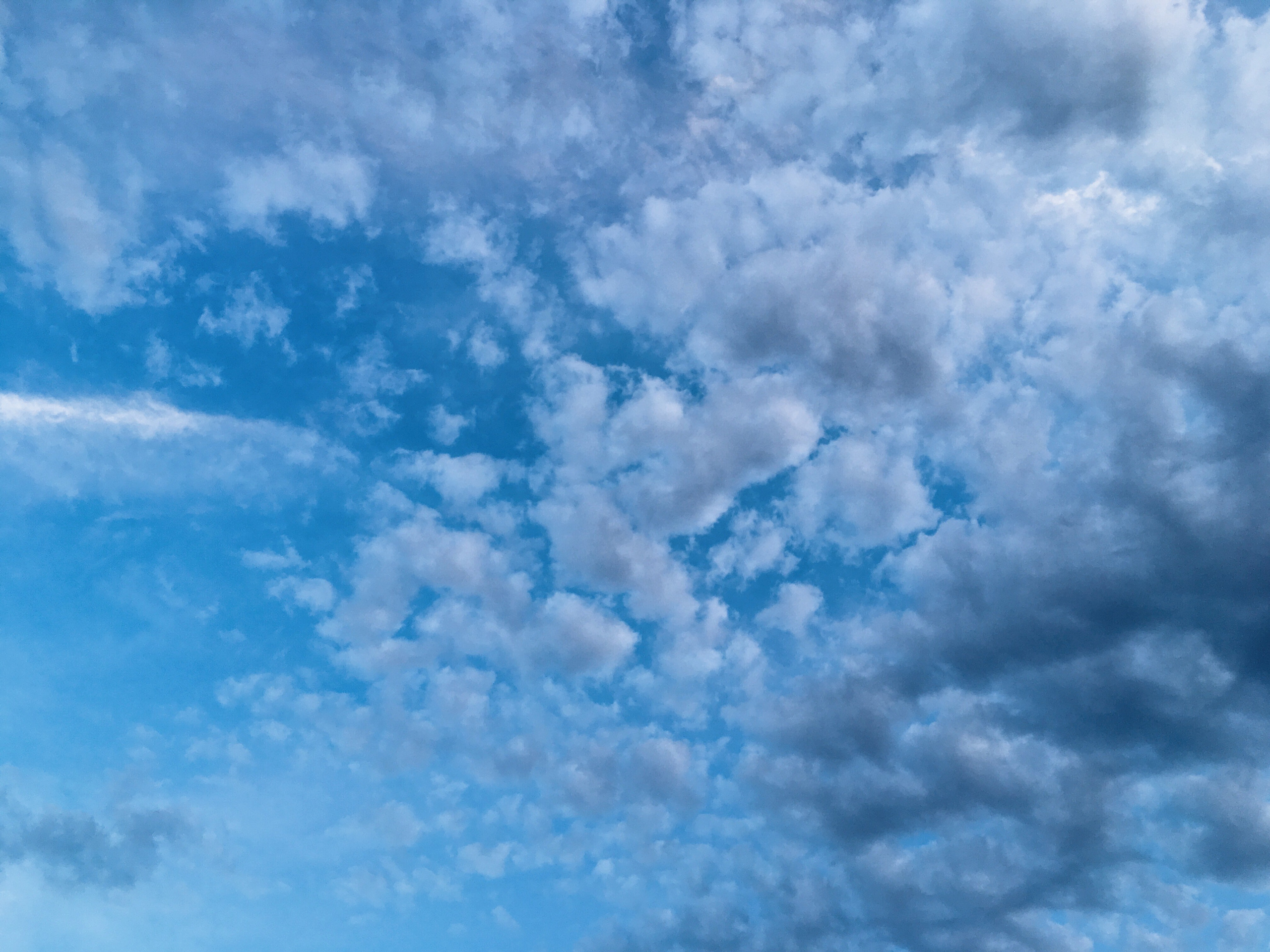 Визуальный дневник. Портретный фотограф в Москве Гахраманова Екатерина