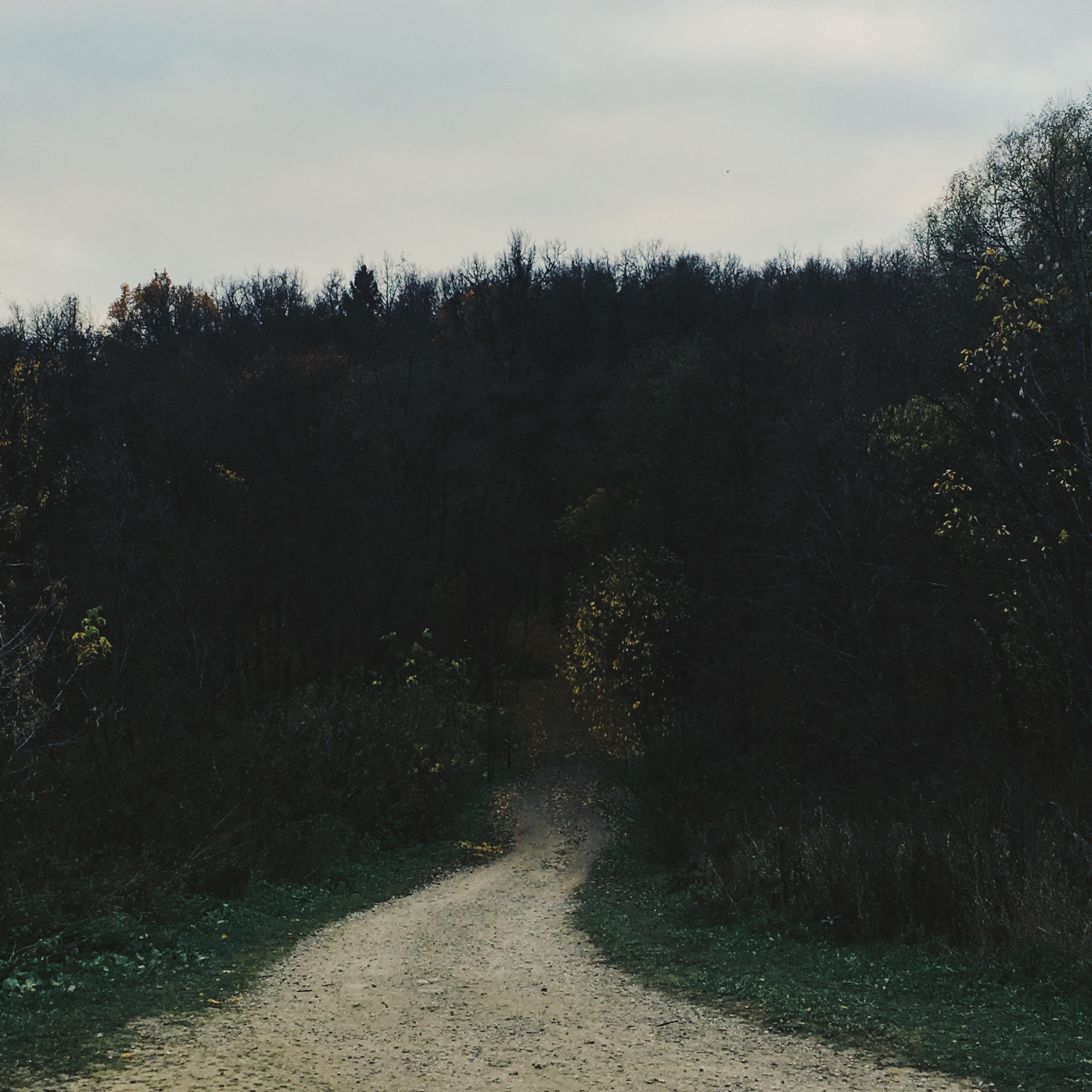 Визуальный дневник. Портретный фотограф в Москве Гахраманова Екатерина