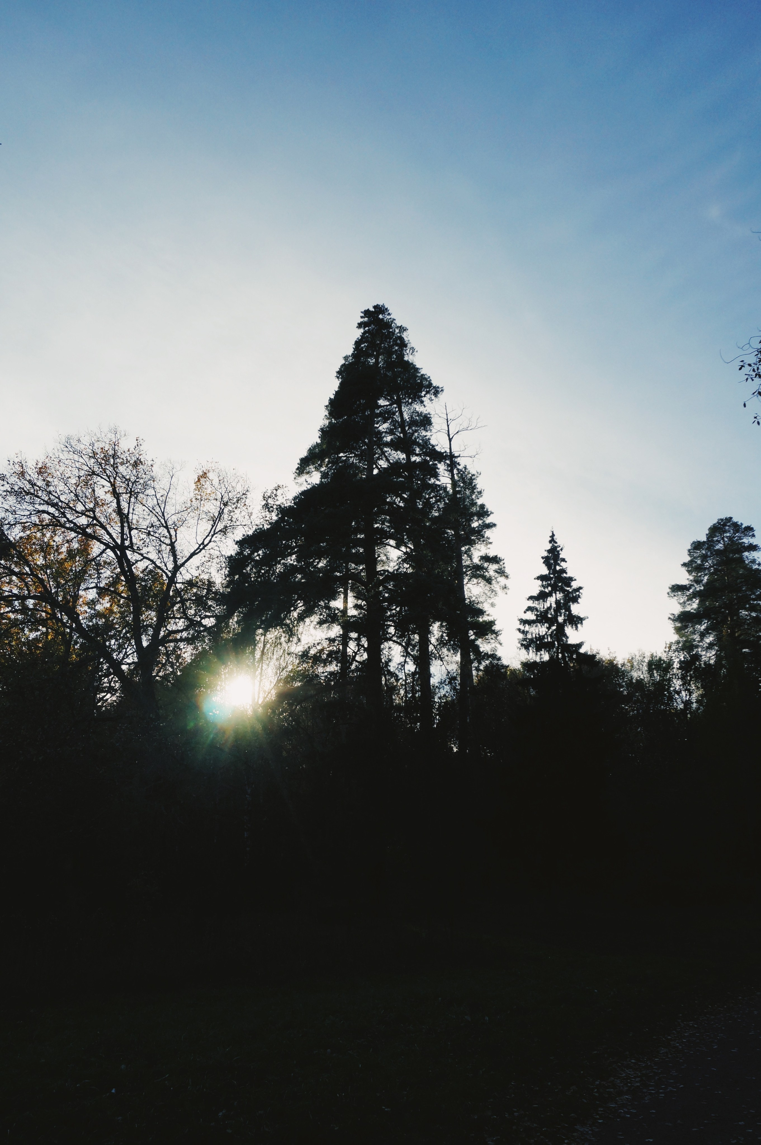 Визуальный дневник. Портретный фотограф в Москве Гахраманова Екатерина