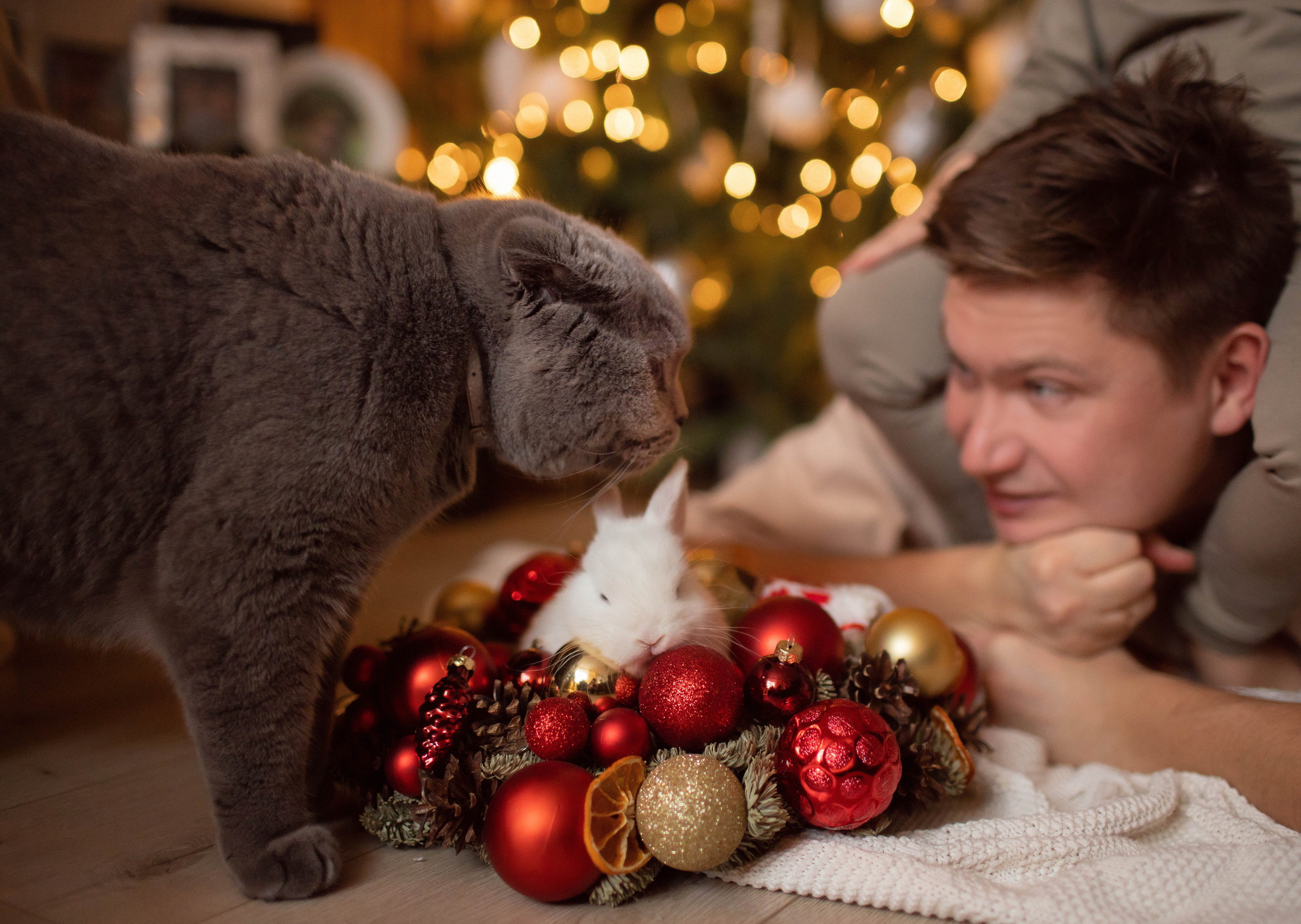 Станислав и Валерия. Семейный фотограф в Москве
