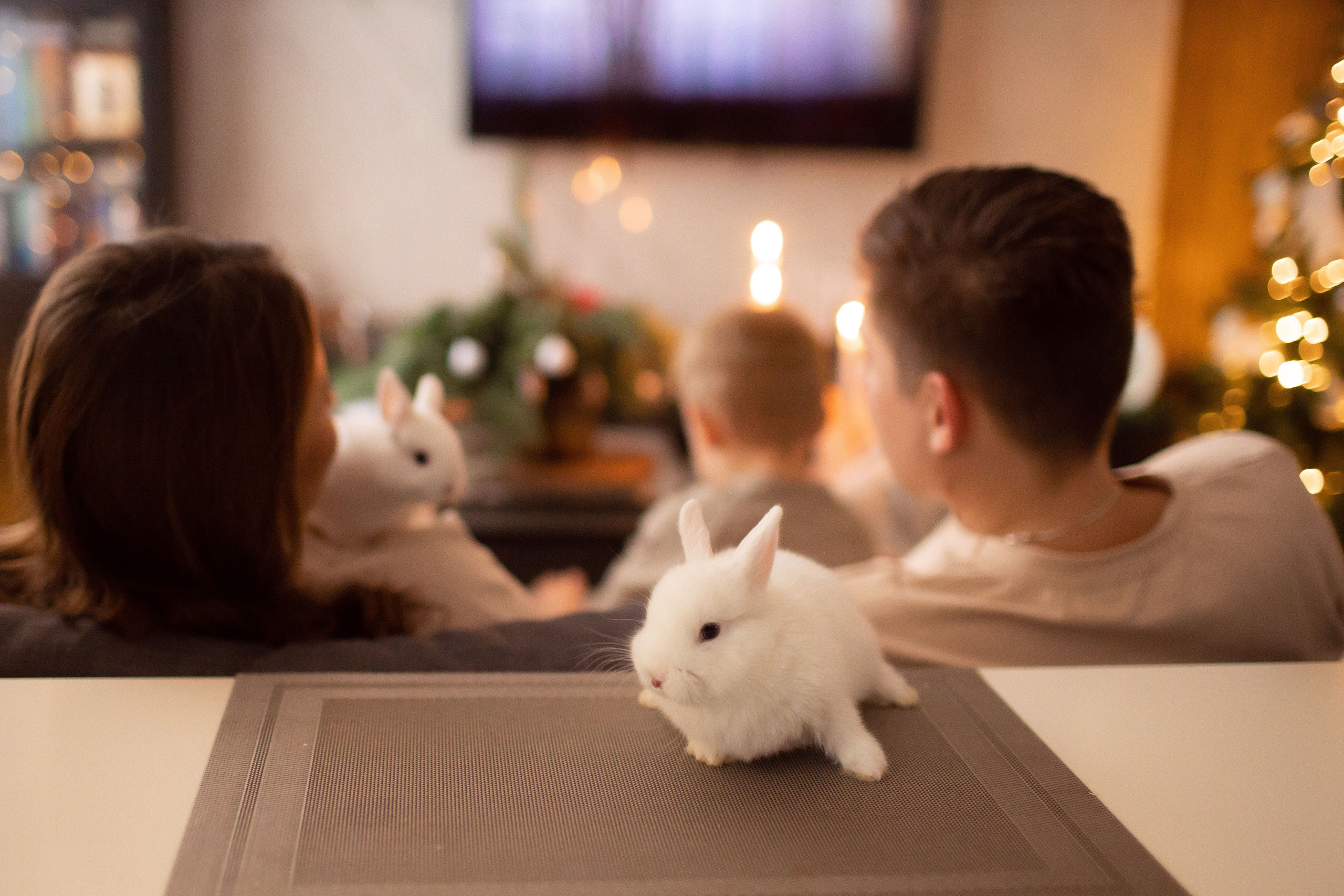 Станислав и Валерия. Семейный фотограф в Москве