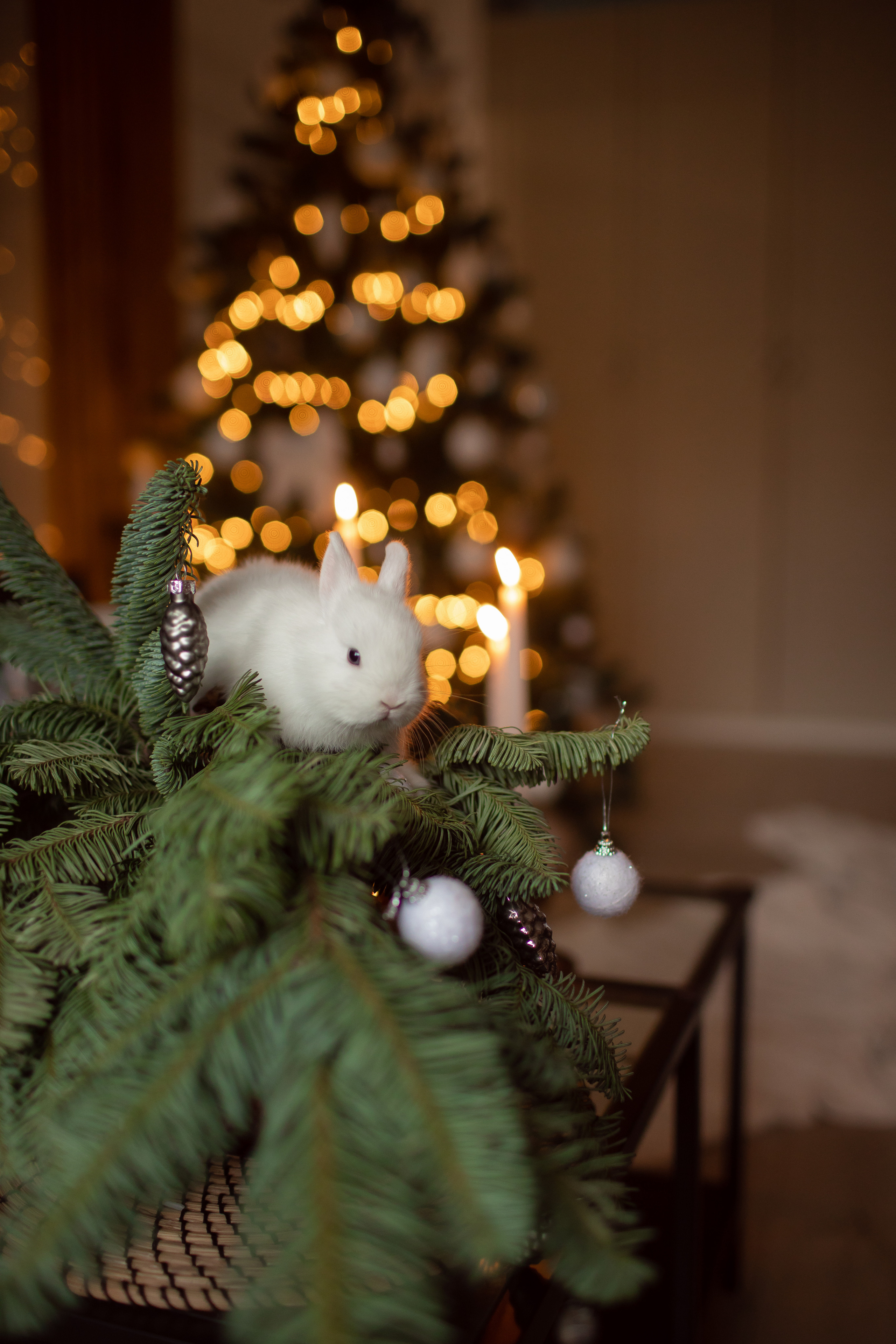 Станислав и Валерия. Семейный фотограф в Москве