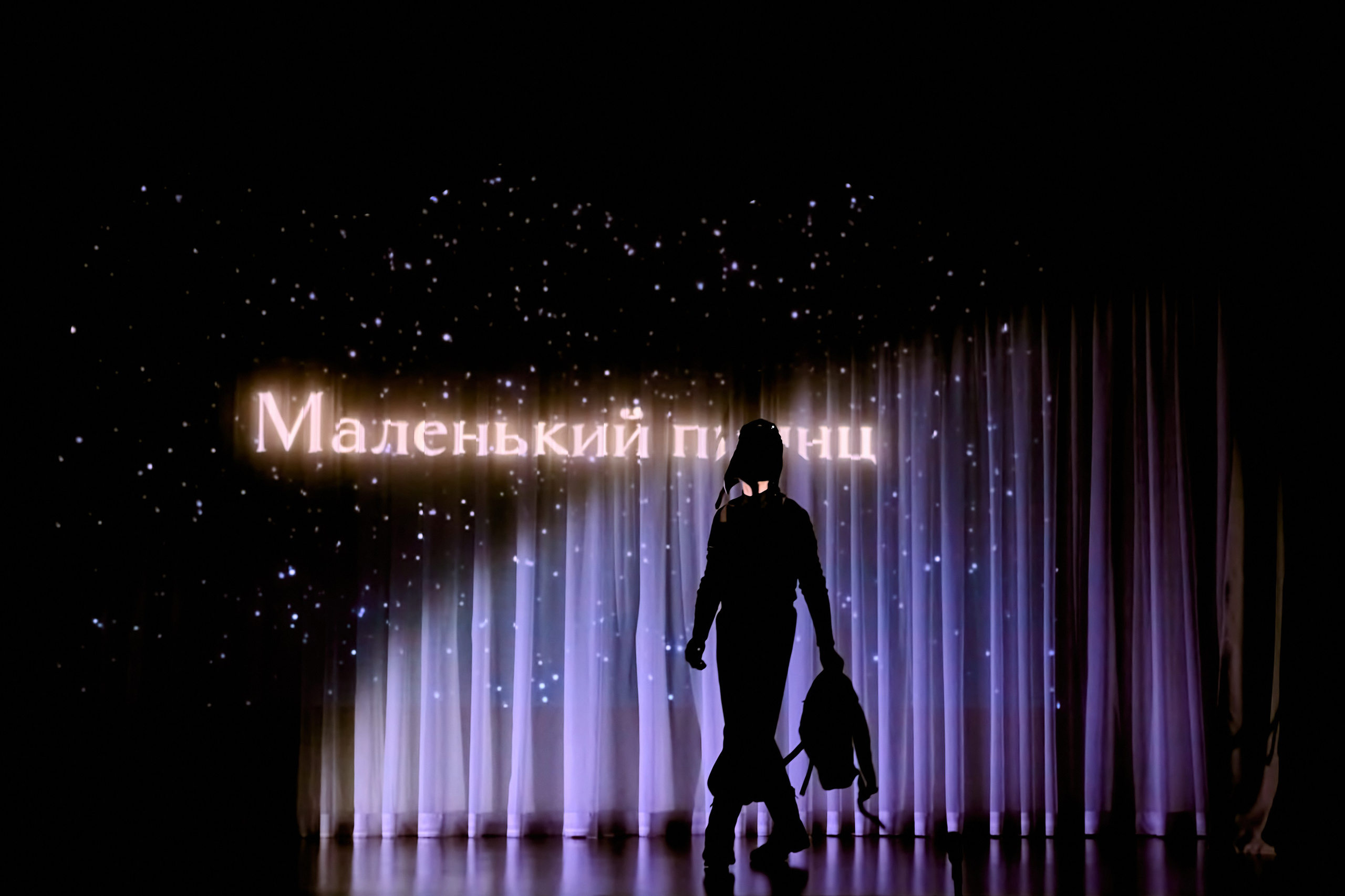 Фотографии с премьеры Маленький принц