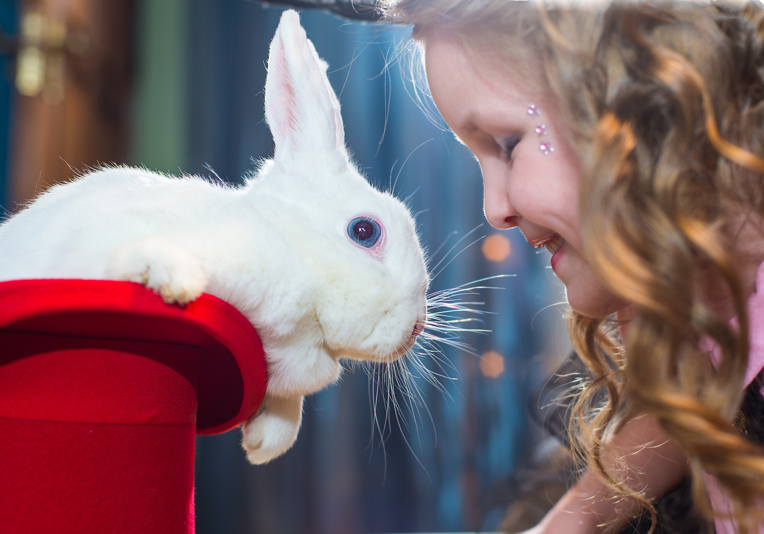 Фотопроект Цирк. ZDARONOKIA Репортажный фотограф