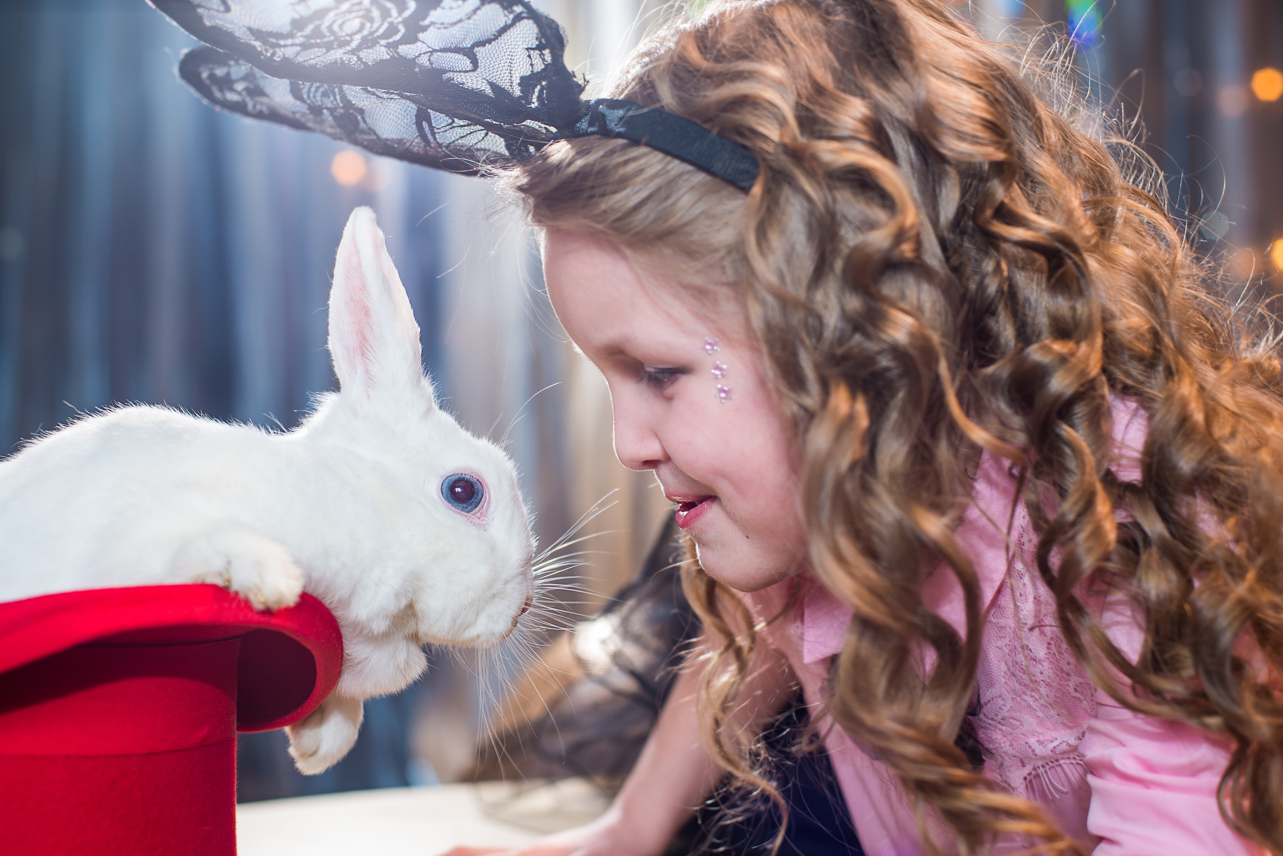 Фотопроект Цирк. ZDARONOKIA Репортажный фотограф