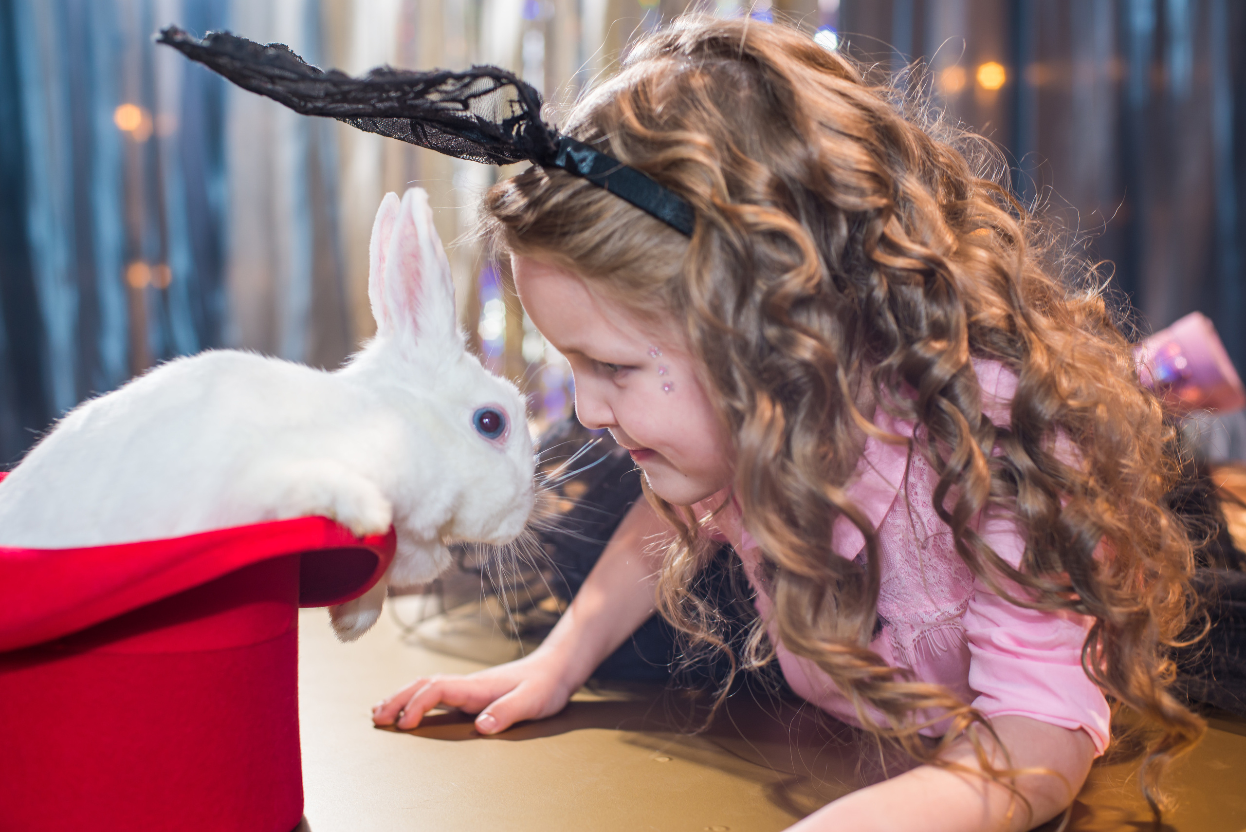 Фотопроект Цирк. ZDARONOKIA Репортажный фотограф