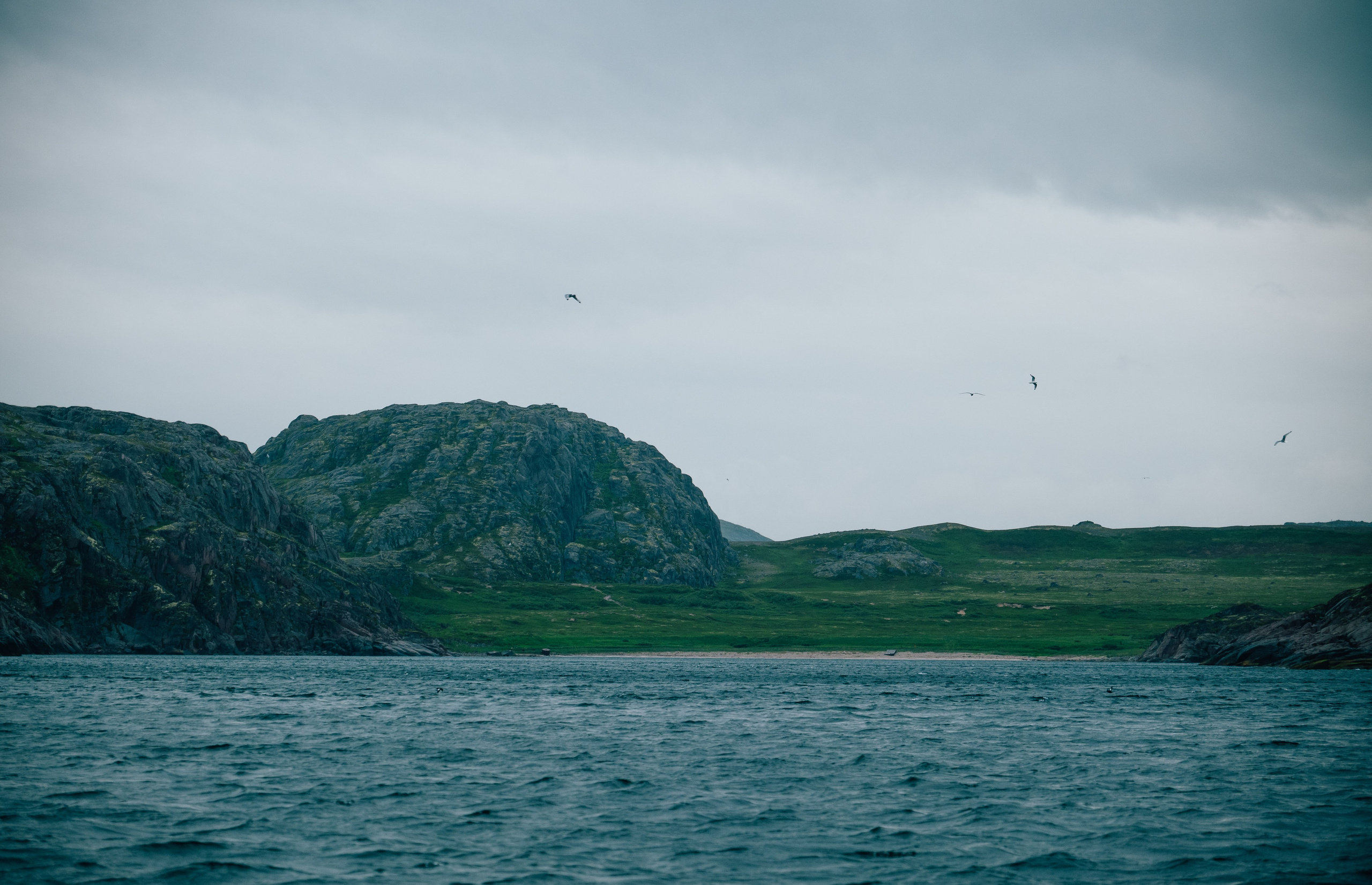 ТЕРИБЕРКА. Создание контента | Фото | Видеосъемка | Александр Ярков