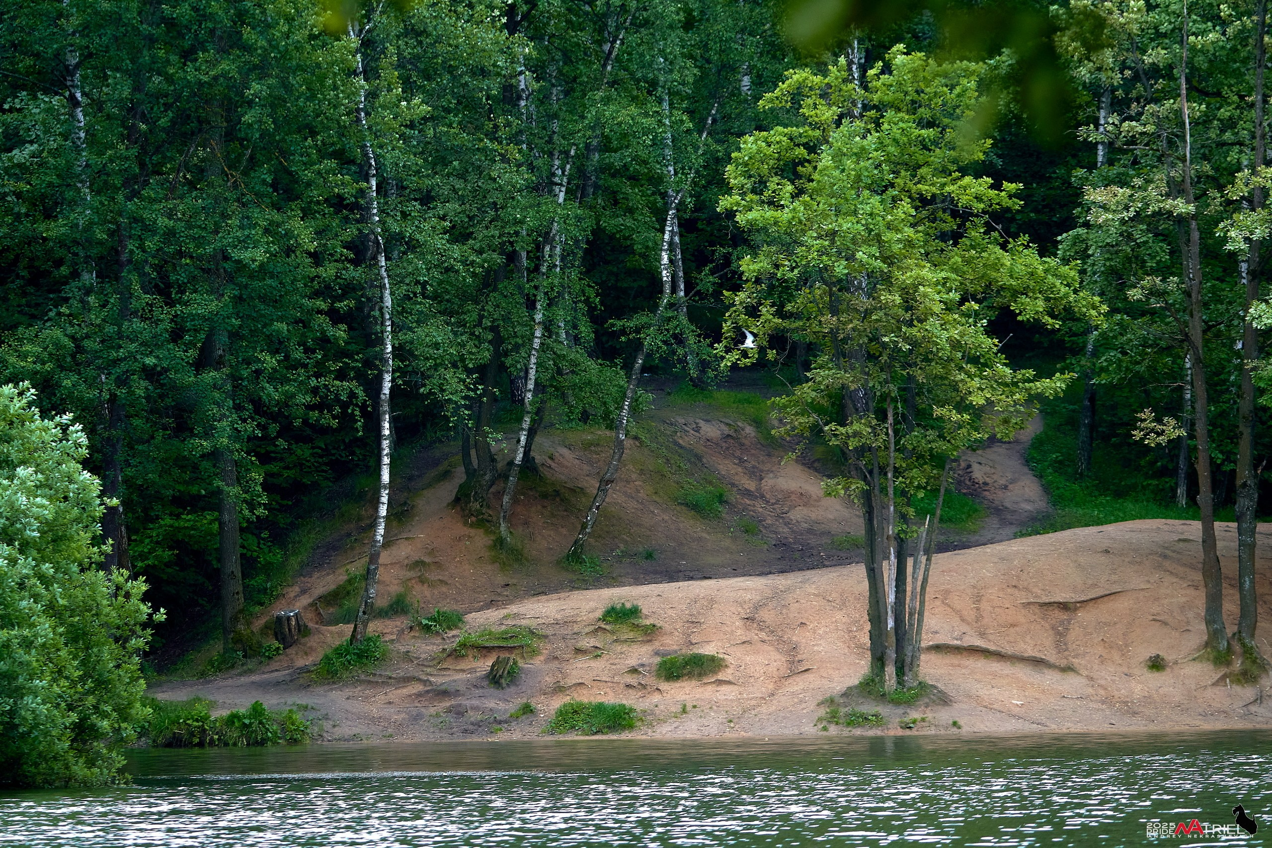 Съемка в парке на воде