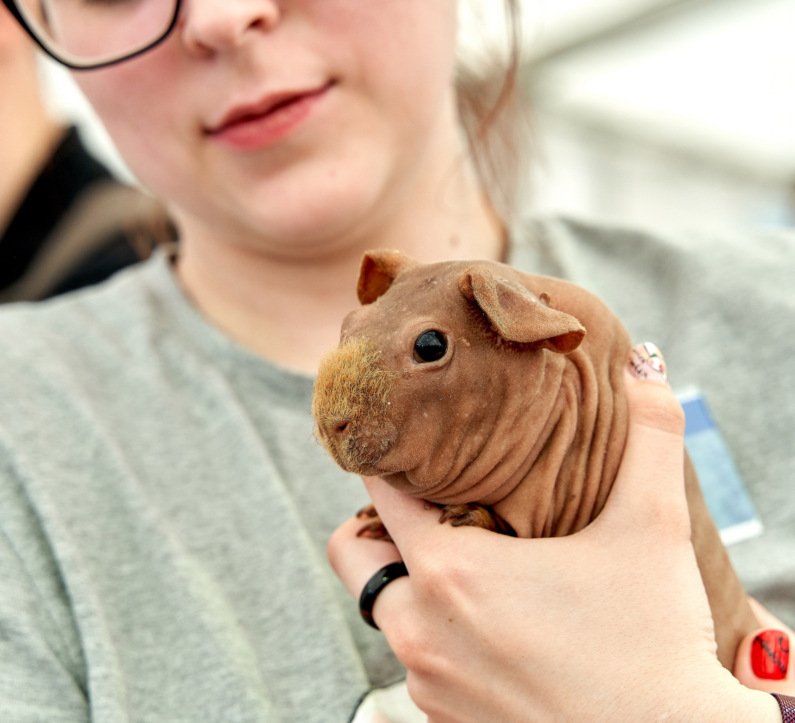 Животные — галерея NATRIEL