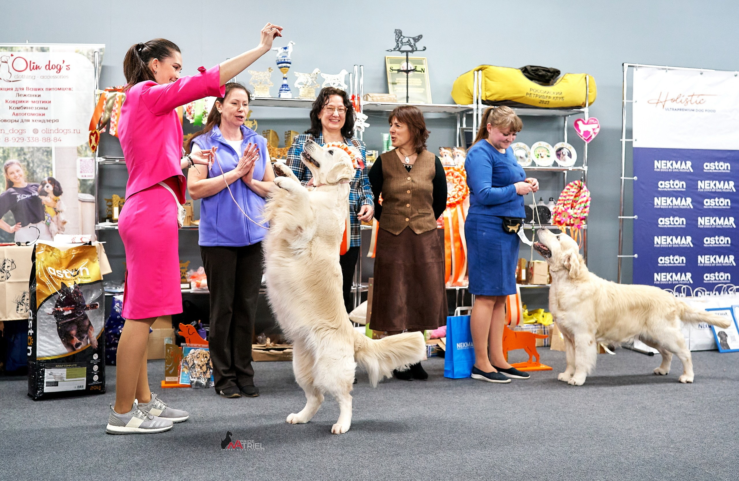 Работа в рингах — галерея NATRIEL