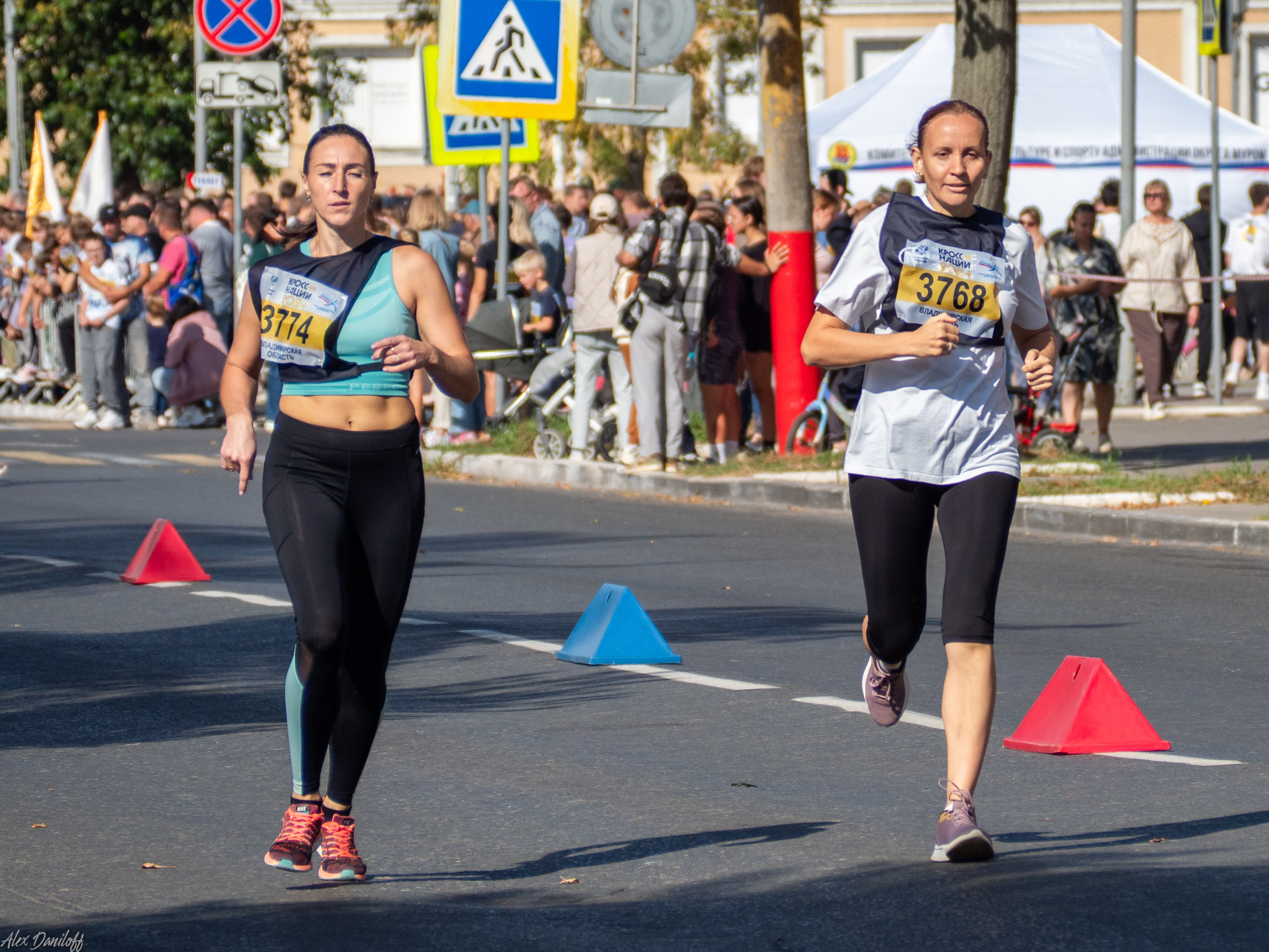 Кросс нации 2024. Муром-Инфо. Новости культуры, образования, спорта в городе Муром