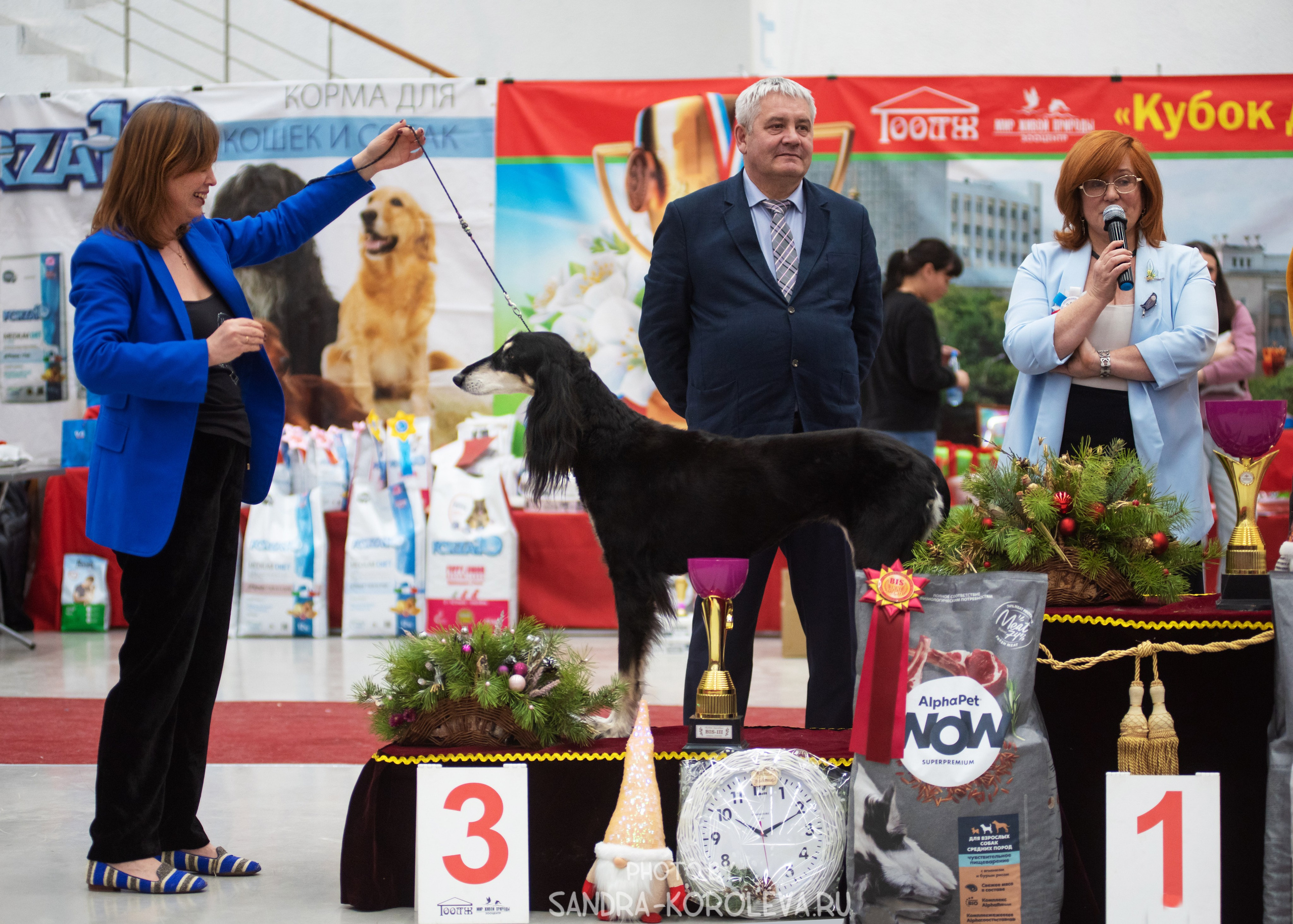 Выставка собак тюмень 10.12.2022. Дог-фотограф в Тюмени Александра Королева