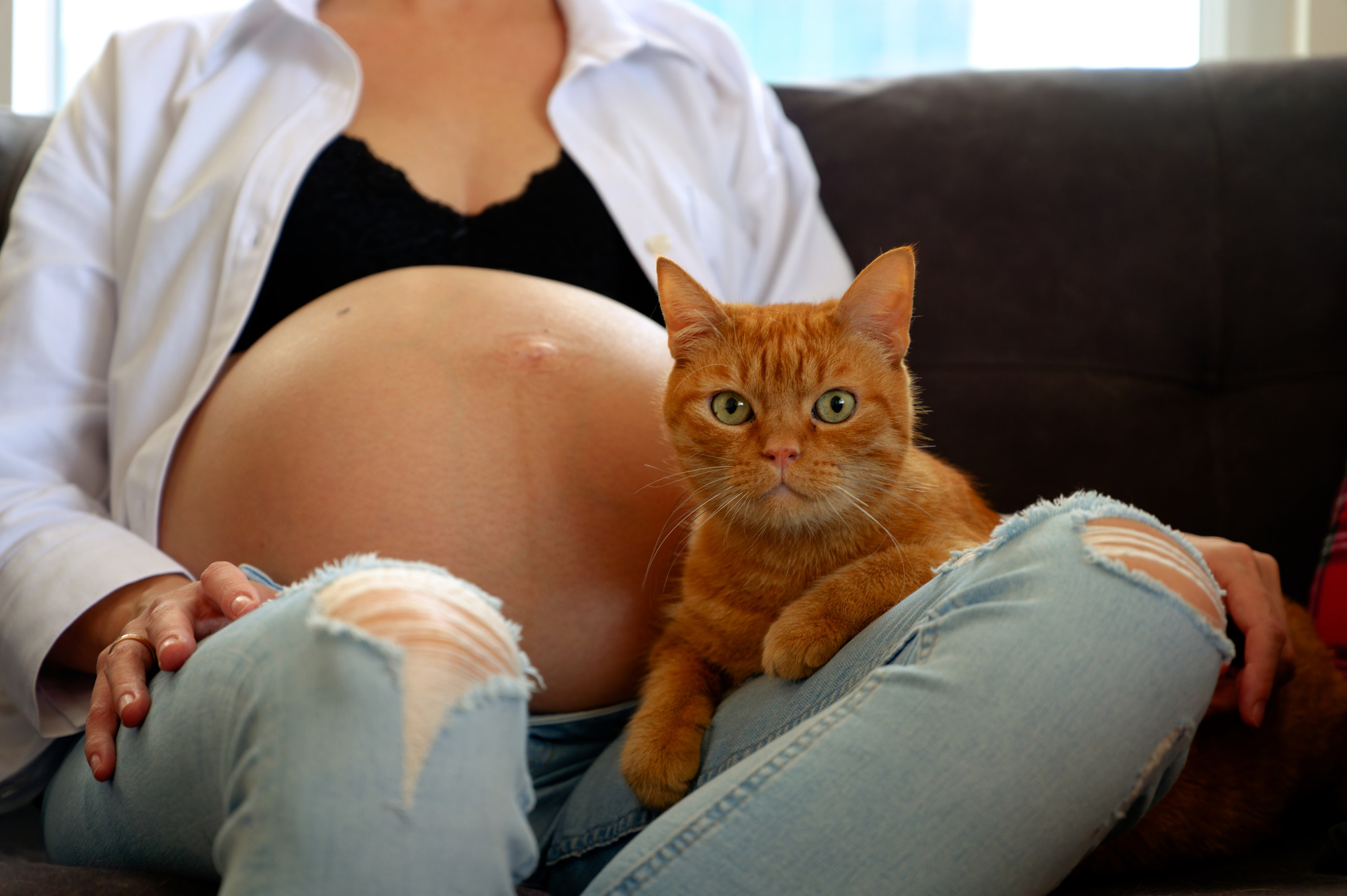 A&A prenegate. Photo & Video production, in Bishkek, Kyrgyzstan