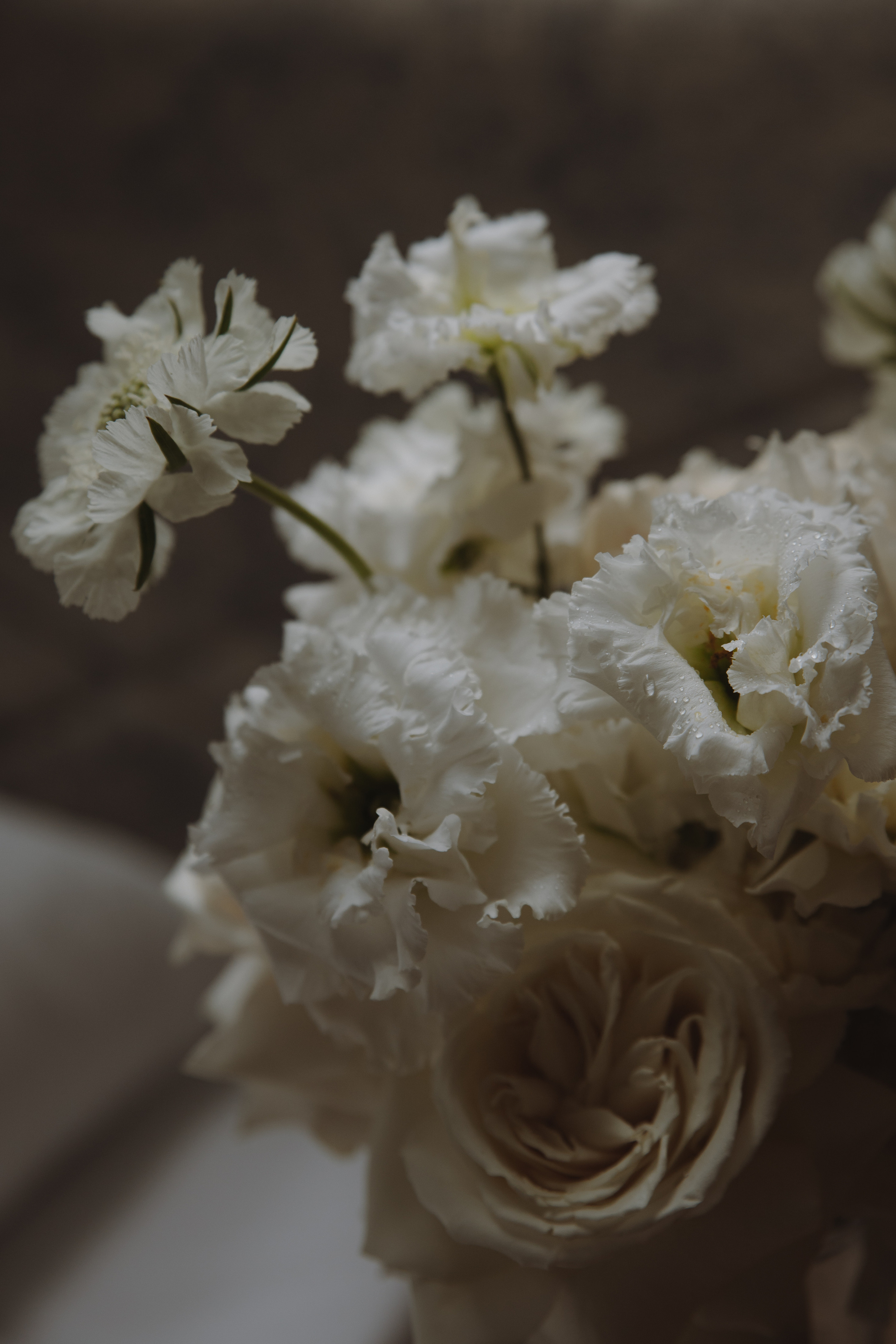 Сергей & Елена. Свадебный фотограф Москва и Подмосковье