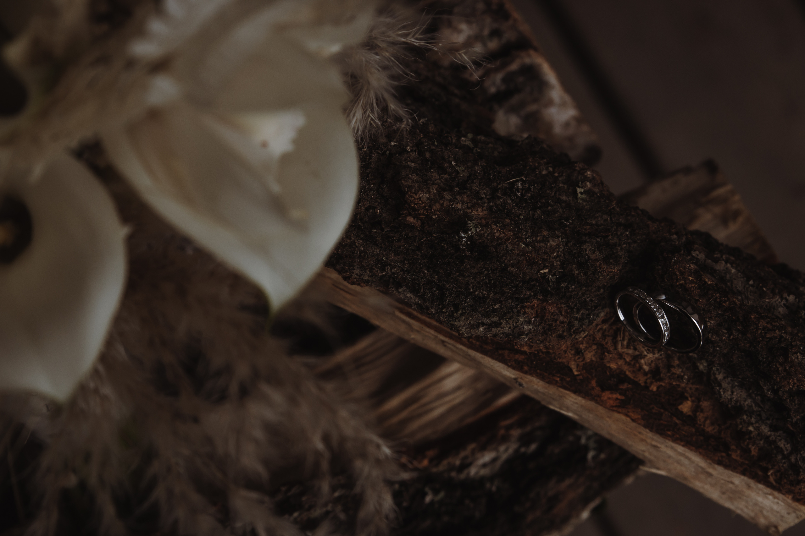 Михаил & Алина. Свадебный фотограф Москва и Подмосковье