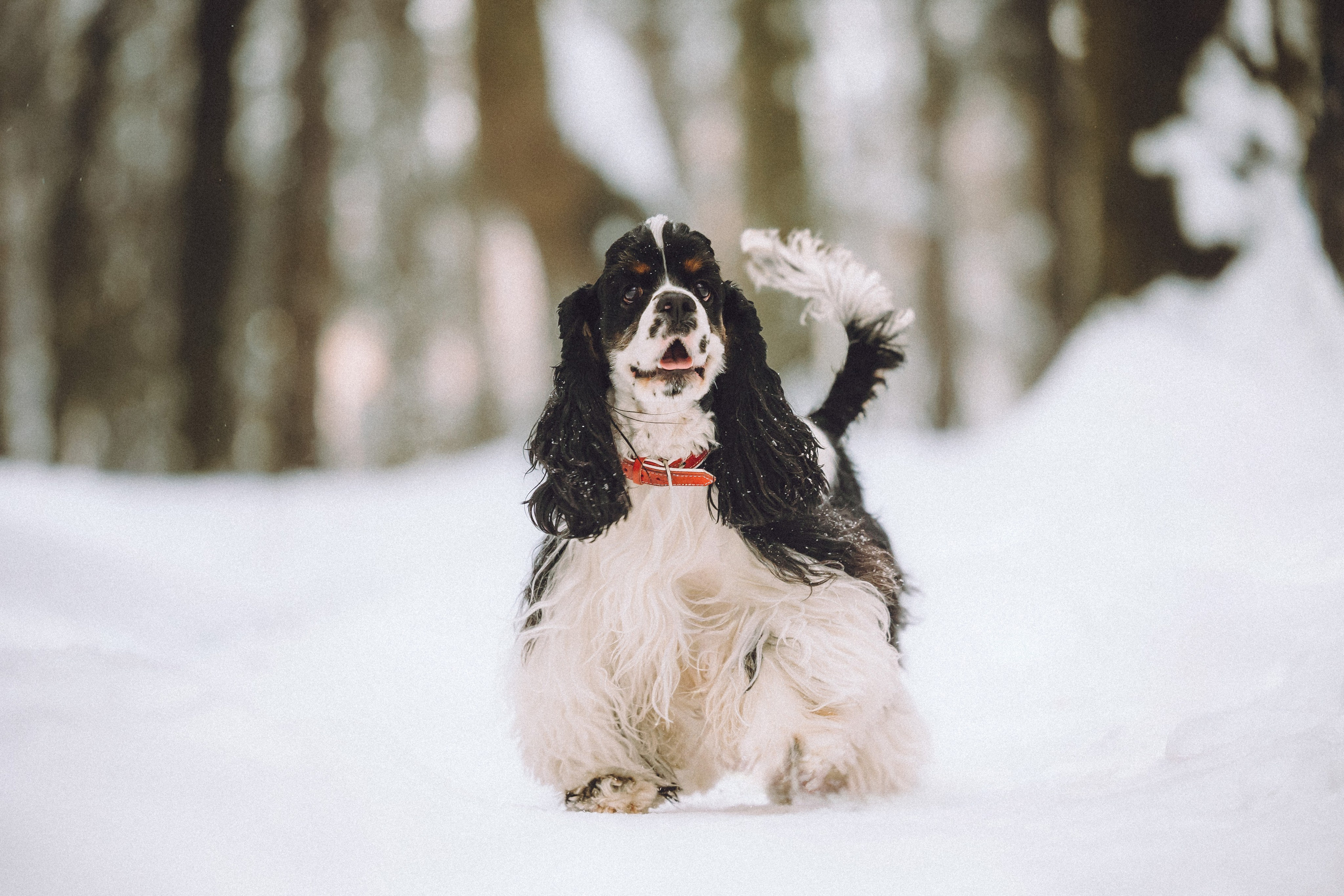Ольга и Патрик