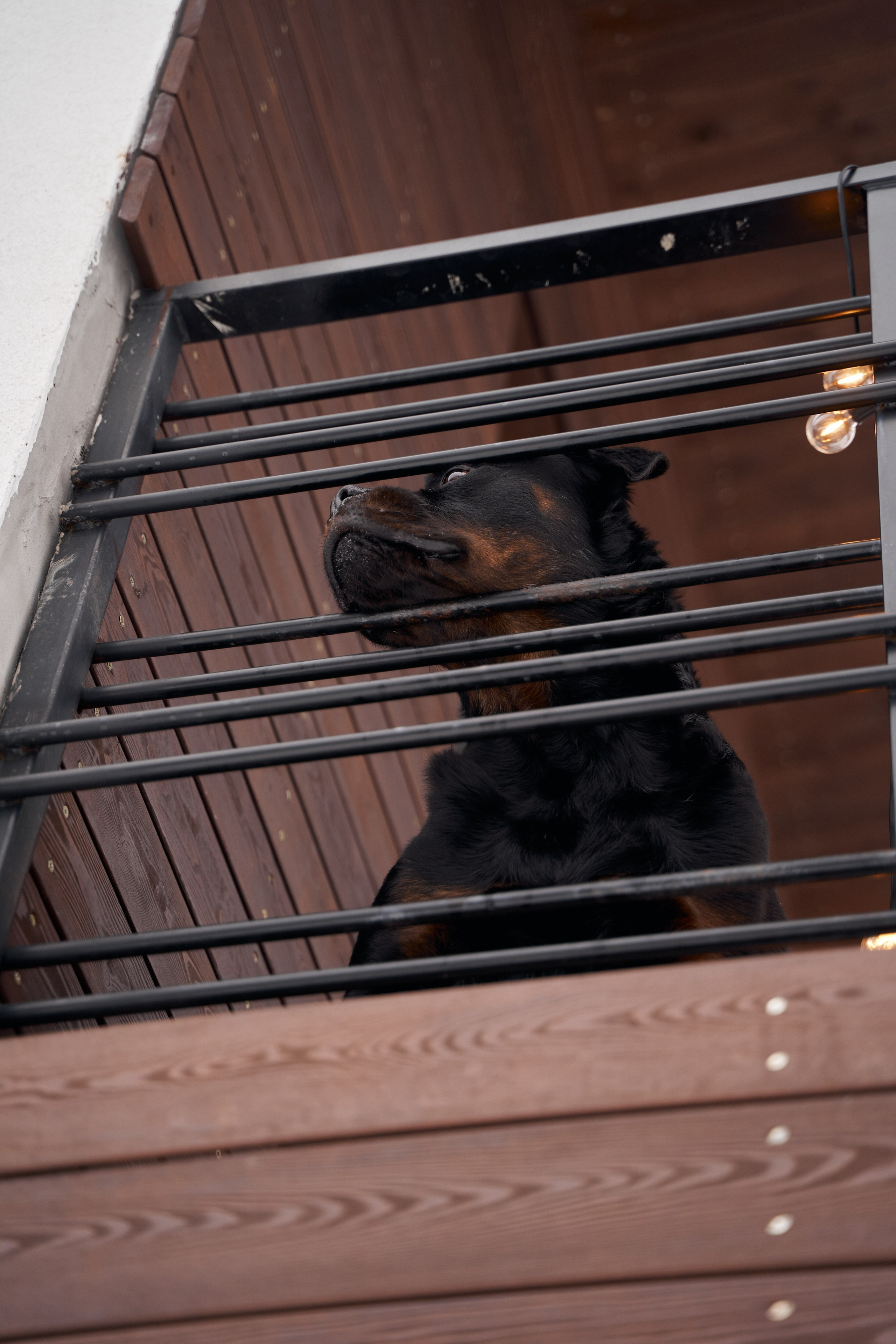Дизайнер интерьера. Портретный фотограф в Санкт-Петербурге Анна Тукаева