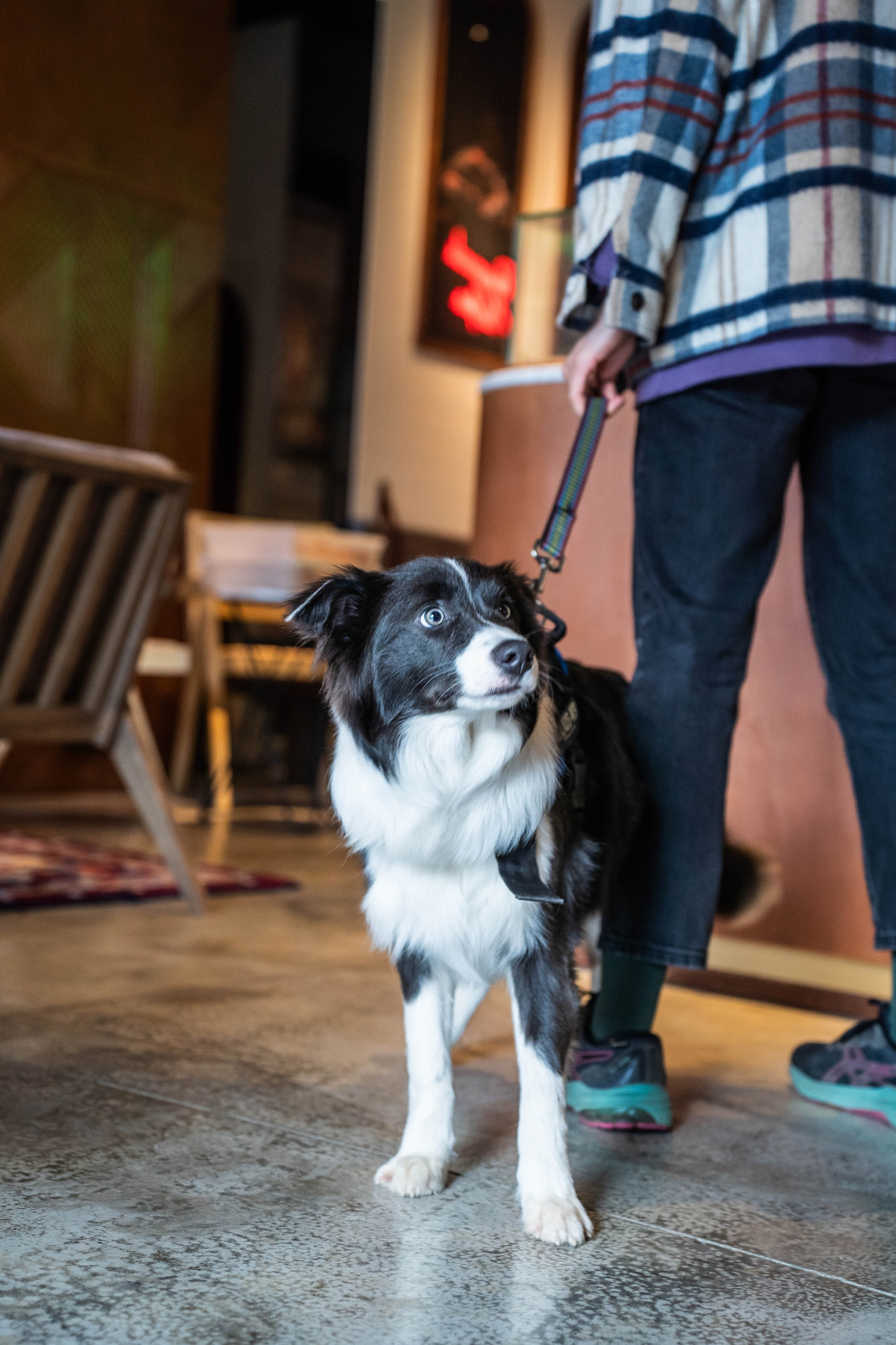 SURF COFFEE| DAY. Фотограф Абакумова Анастасия