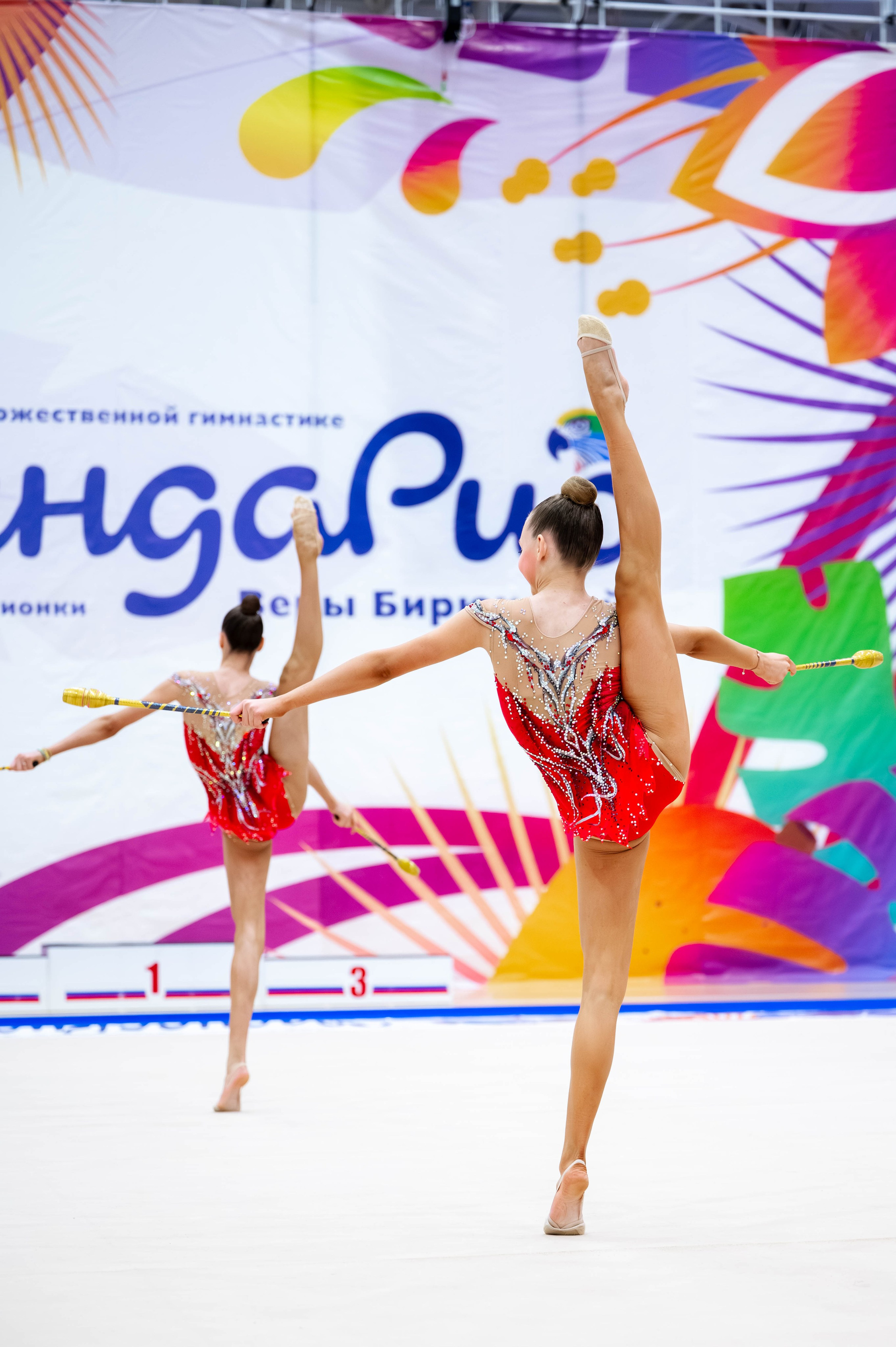 Турнир по хг на призы ОЧ Веры Бирюковой ЛегендаРИО, ноябрь 2024. Спортивный фотограф в Туле и Тульской области. Файсханова Фото Спорт