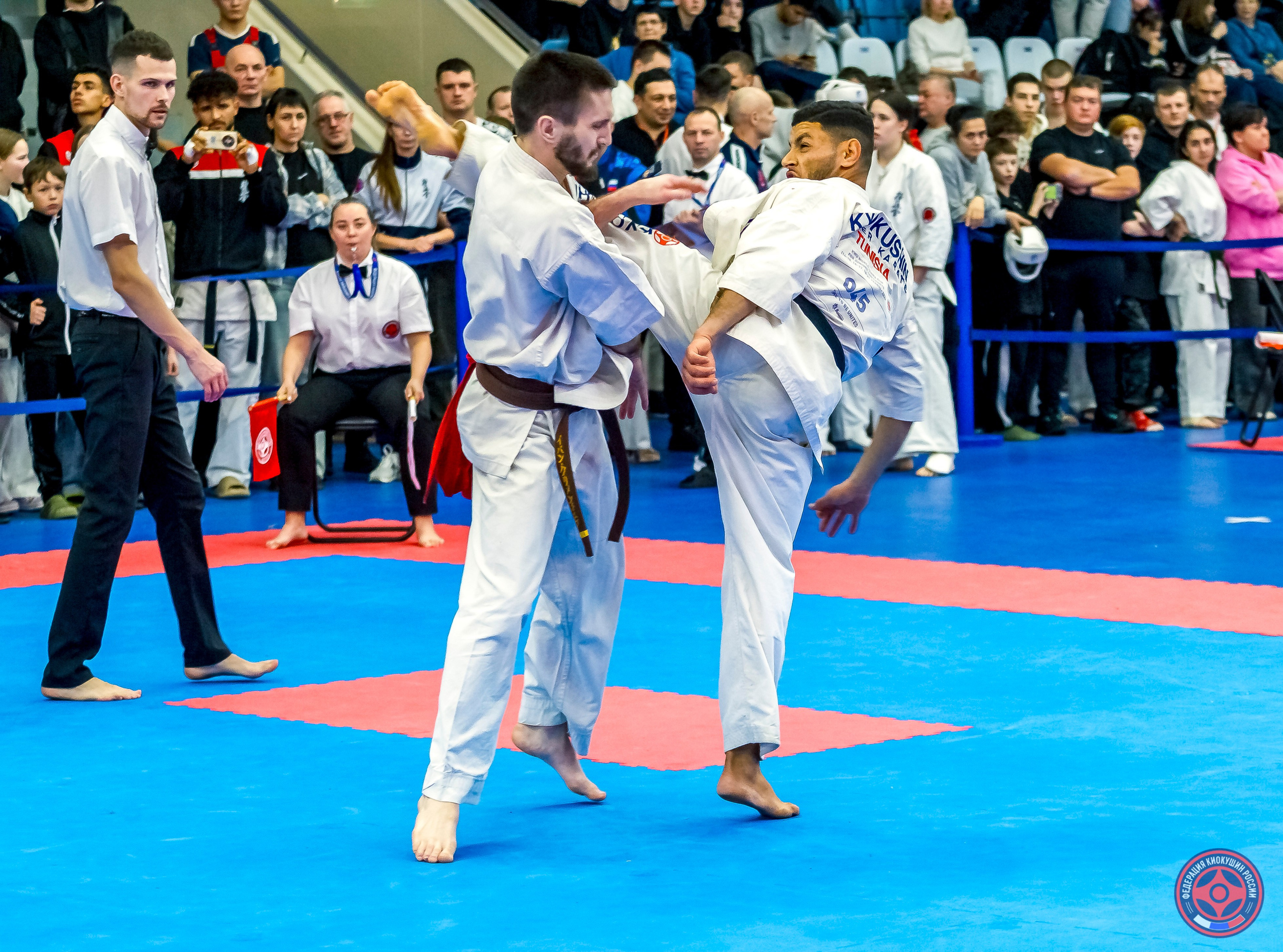 Международный турнир по киокушин «Открытый кубок Seiken». Репортажная съемка в Москве и области. Анималистика
