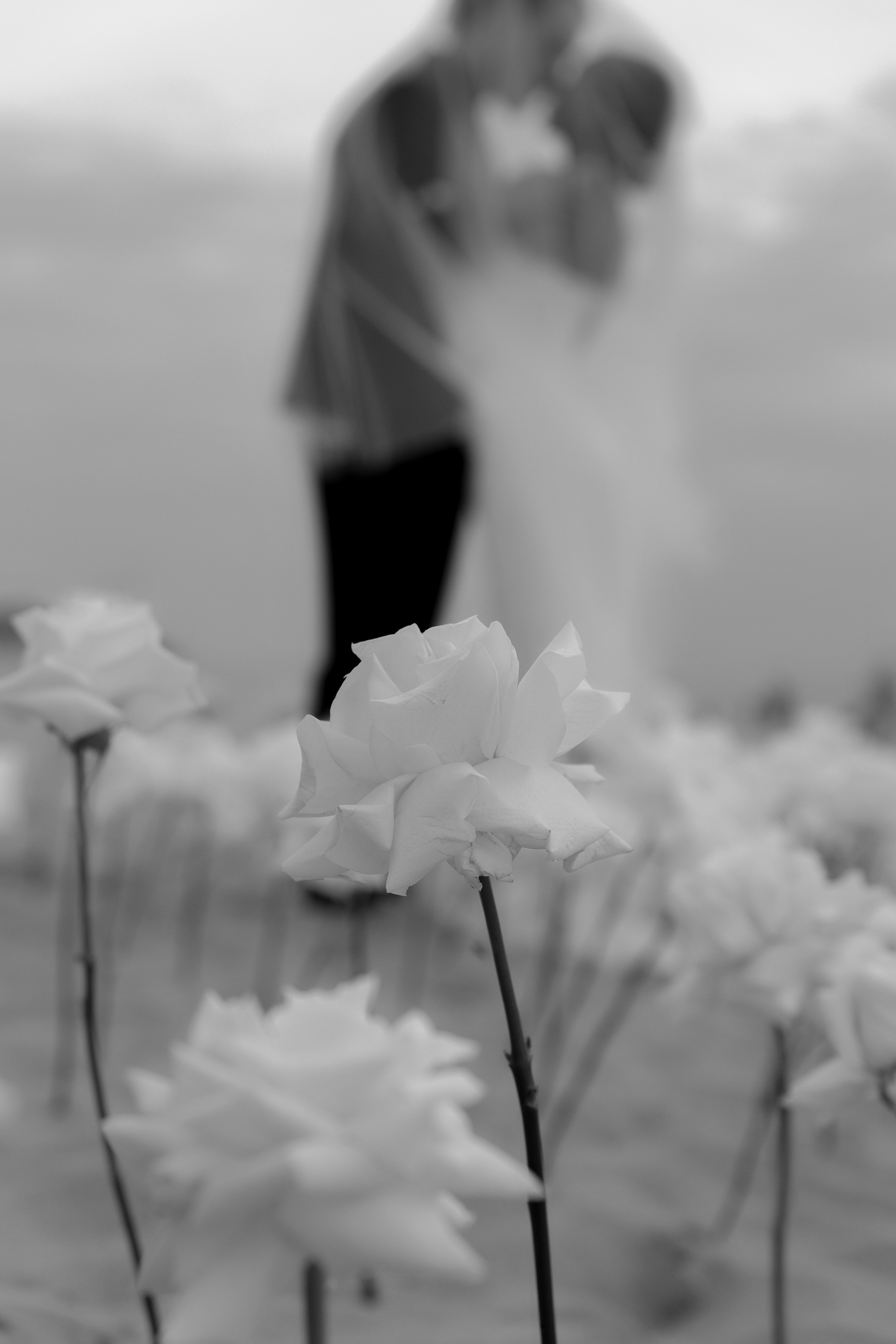 Выездная регистрация на море с белыми розами. Свадебный фотограф Калининград