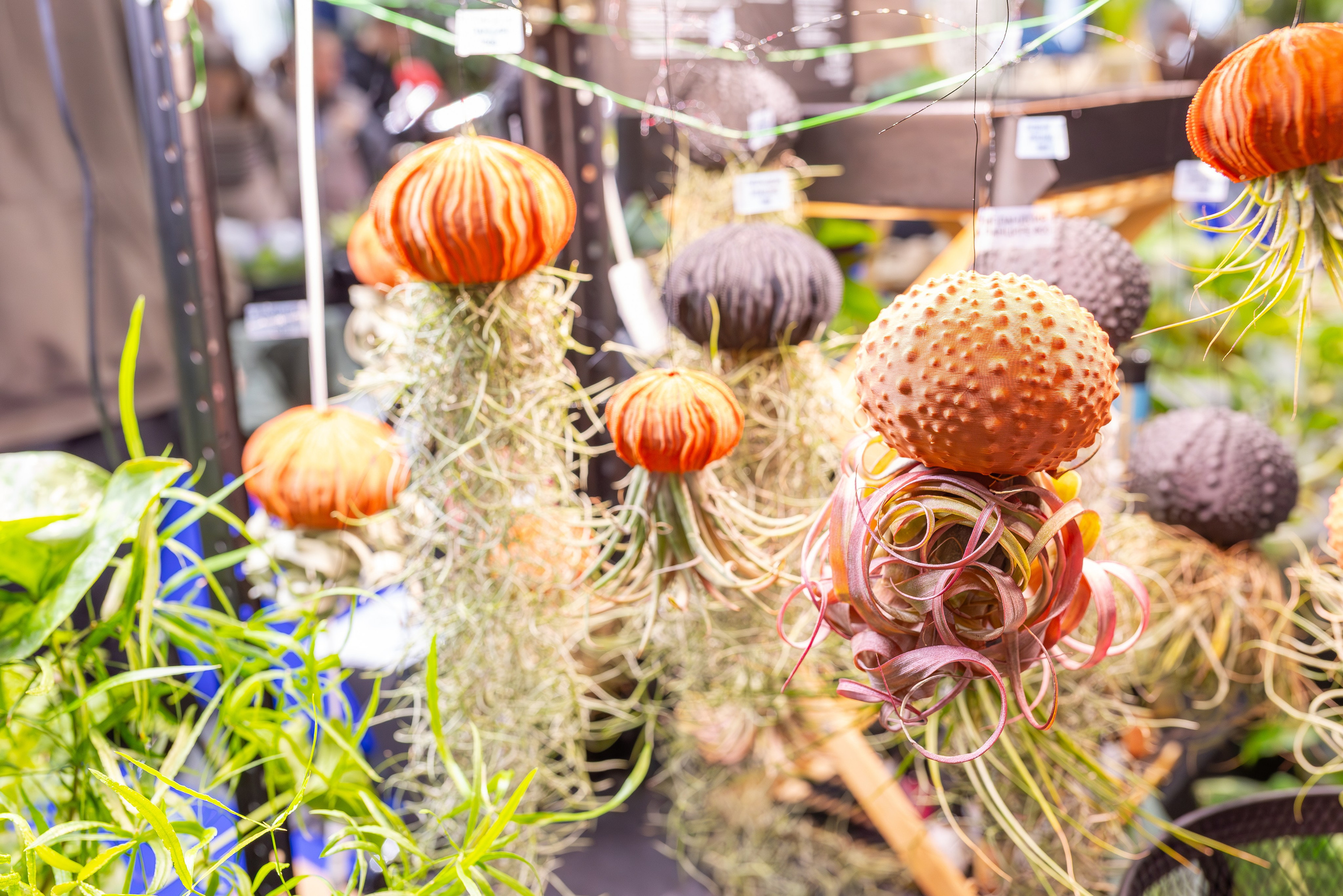 Монстериум 11–12 октября. Александра Куликова фотограф, Москва