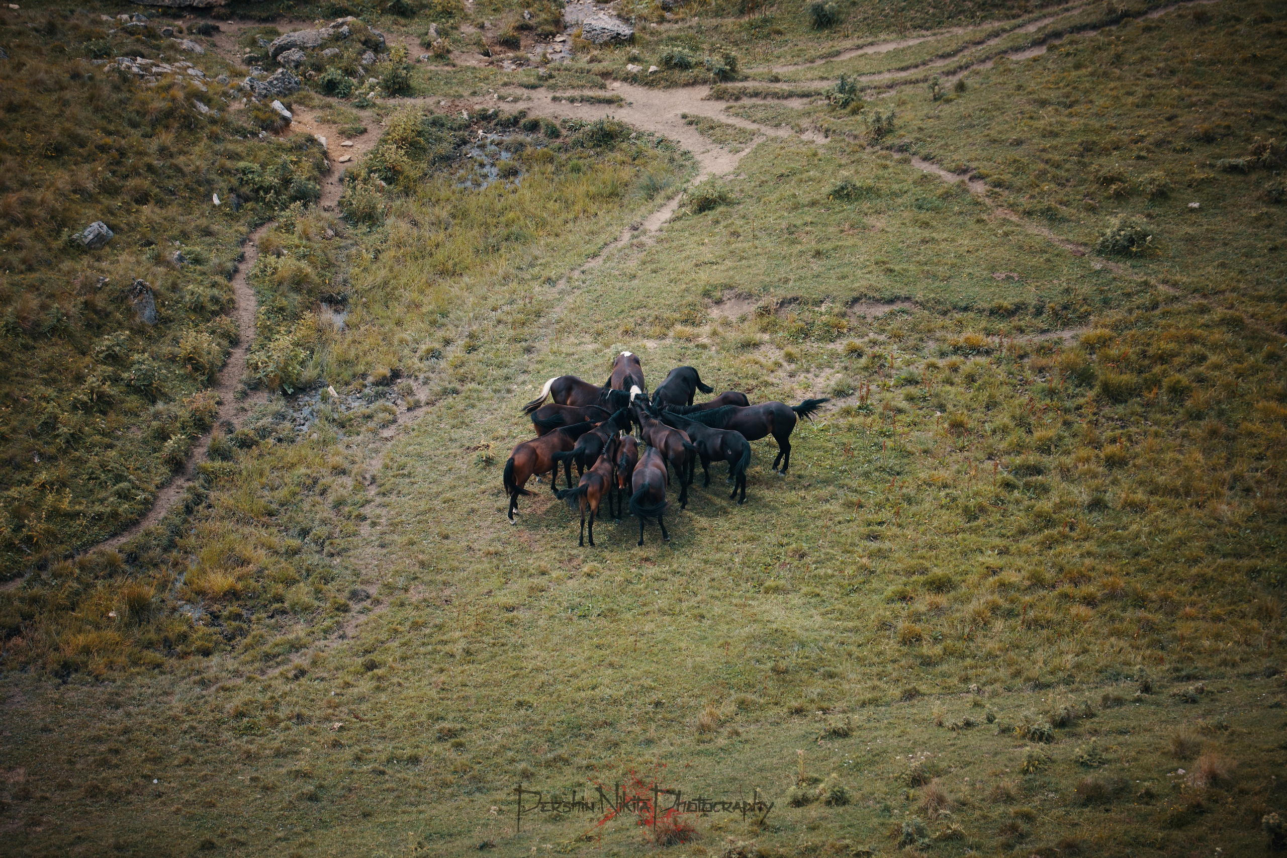 Путешествия и лайфстайл. Горный фотограф на Кавказе Никита Першин